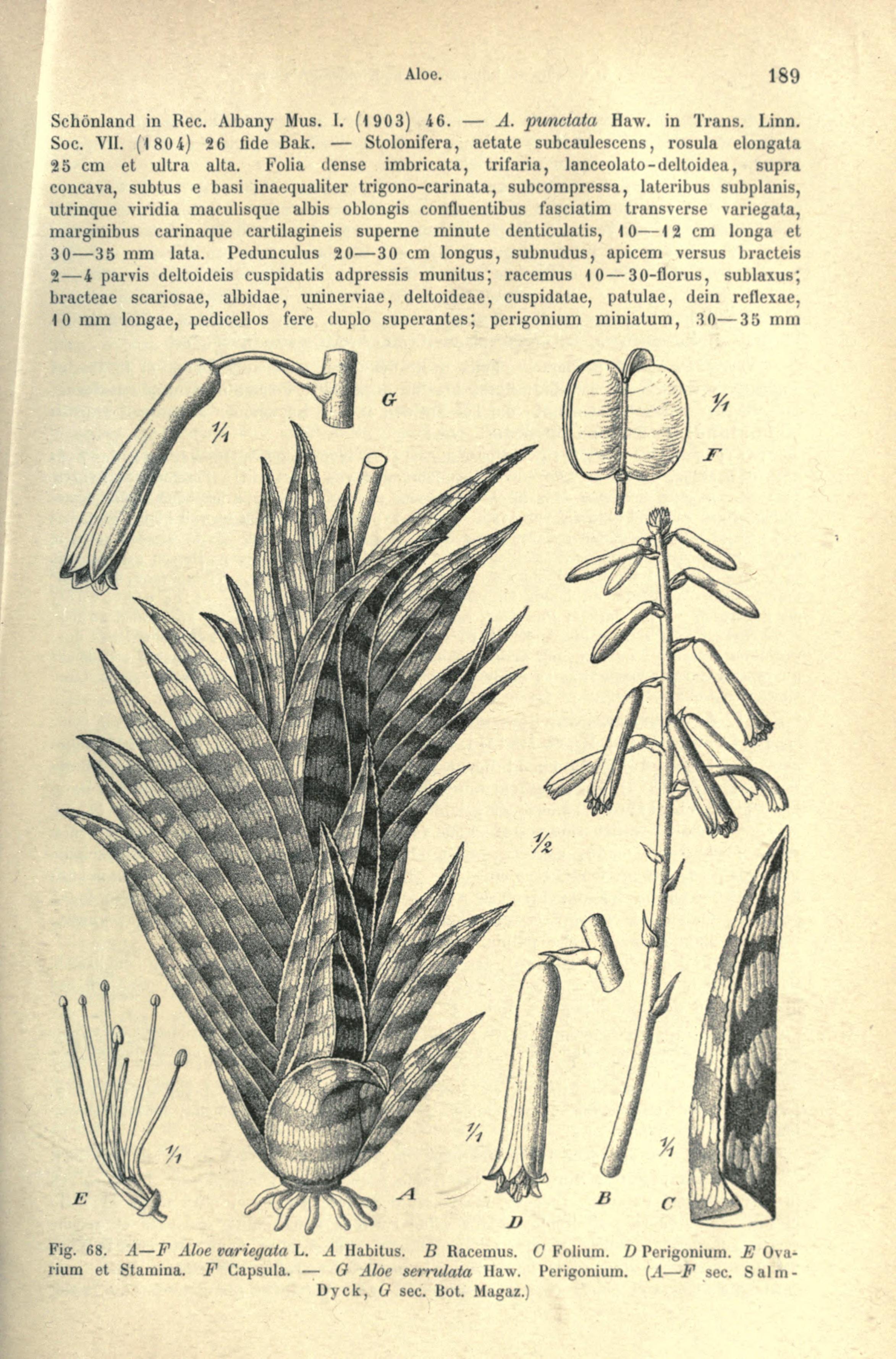 no full size  illustration available (3a)