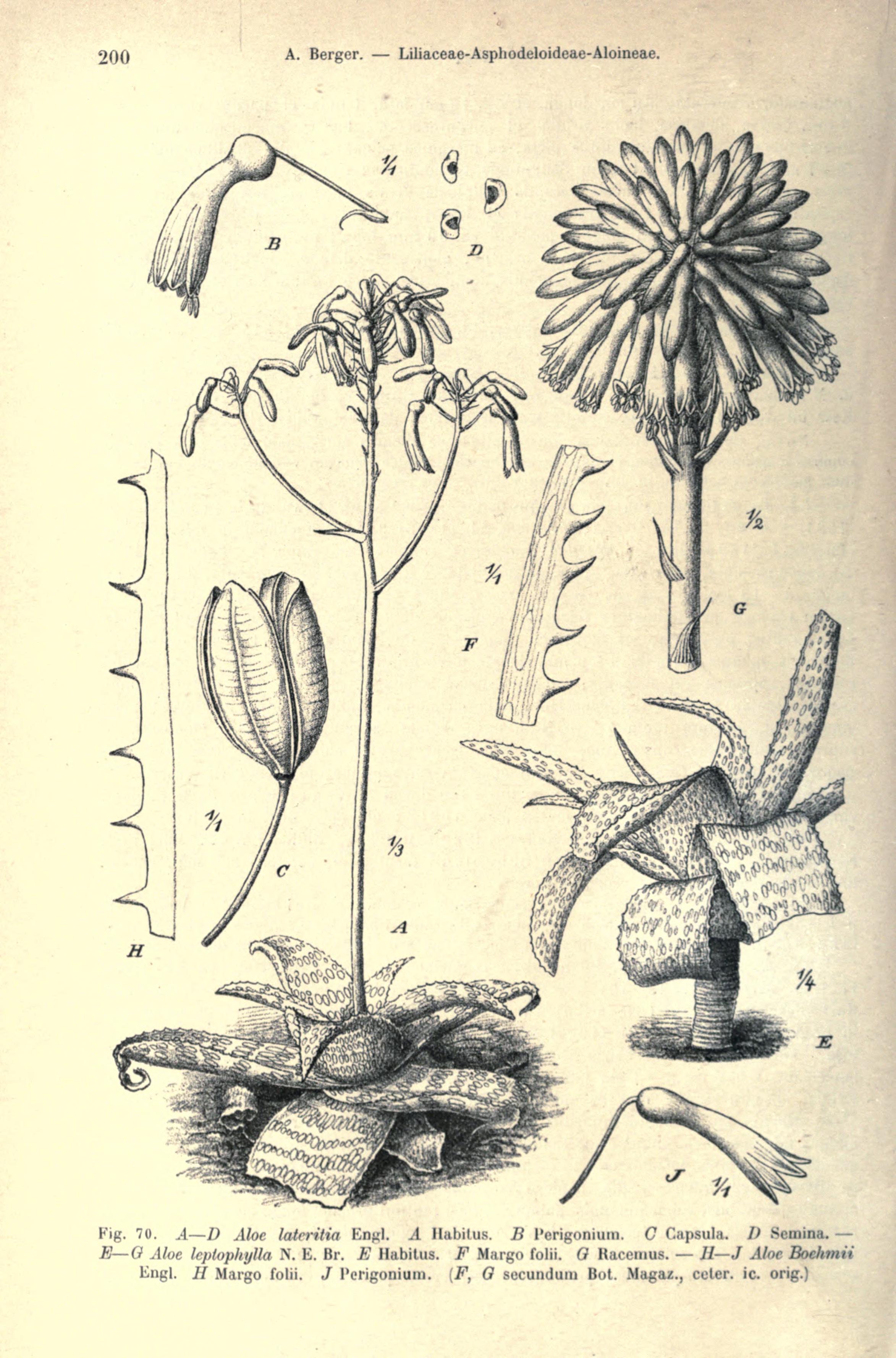 no full size  illustration available (3a)