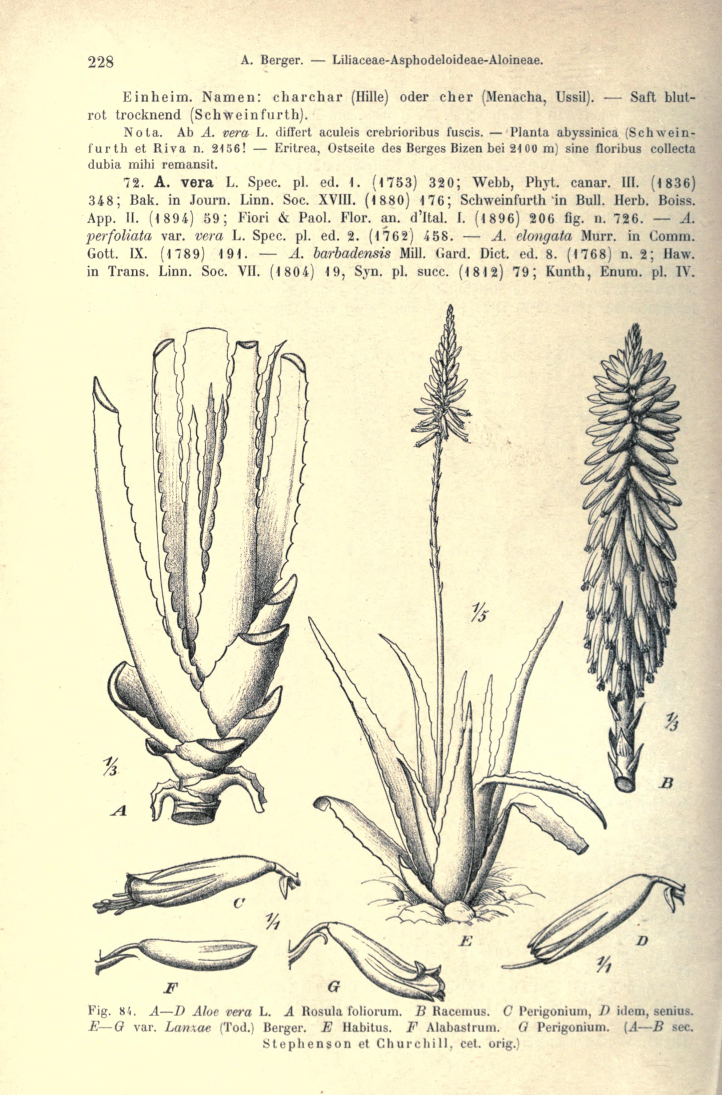 no full size  illustration available (3a)