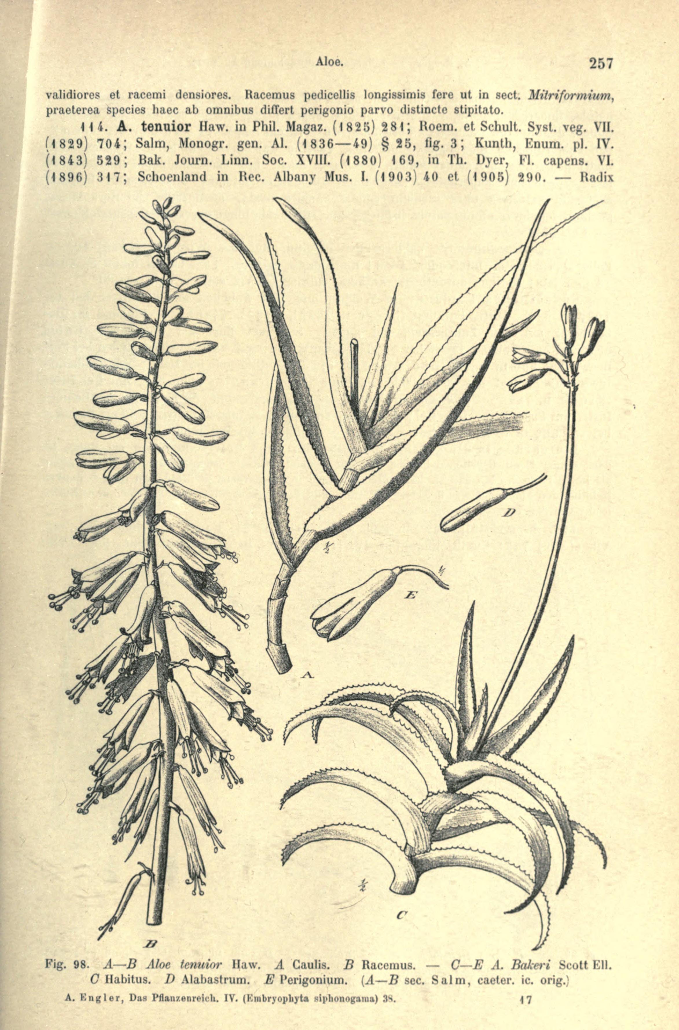 no full size  illustration available (3a)