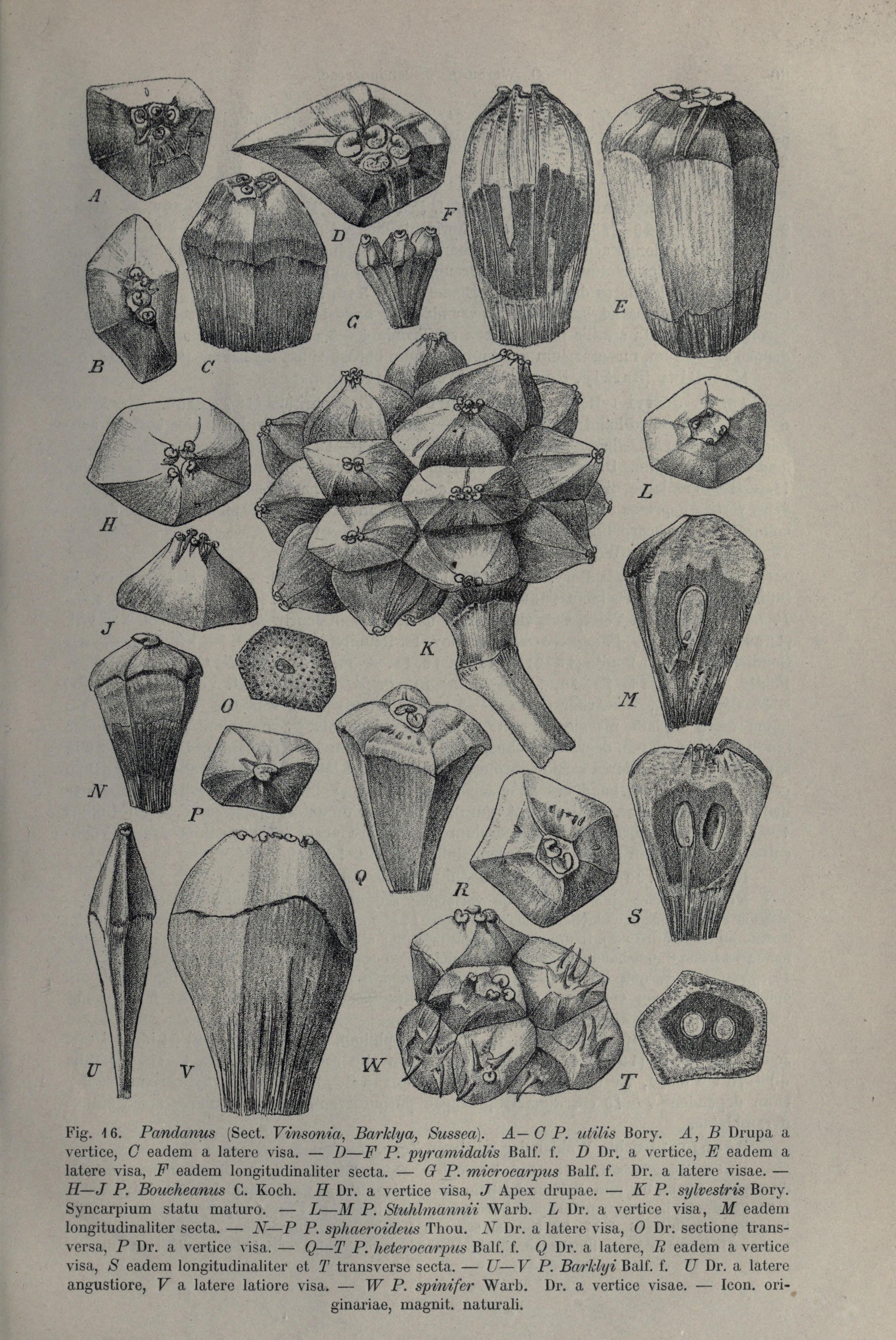 no full size  illustration available (3a)