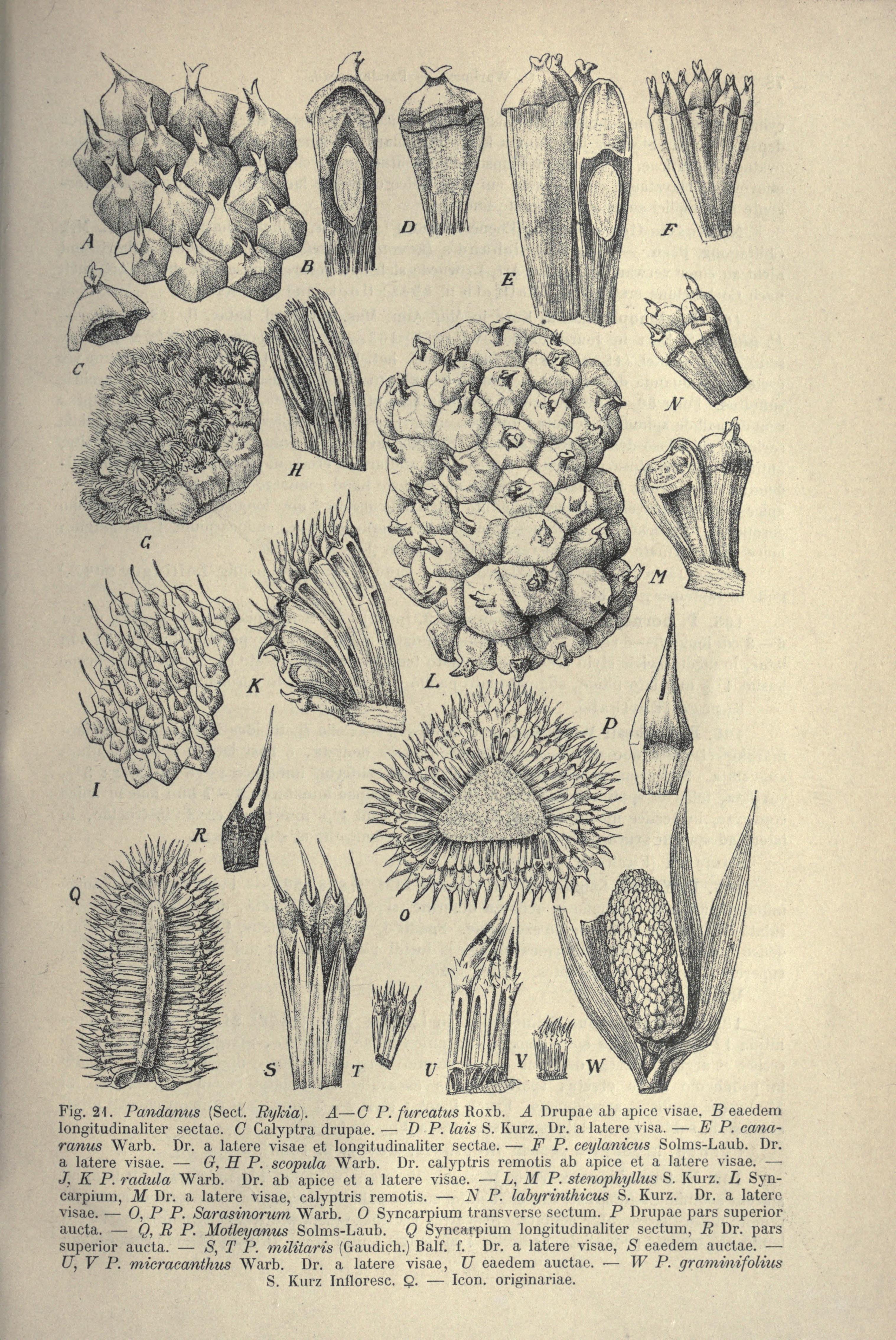 no full size  illustration available (3a)