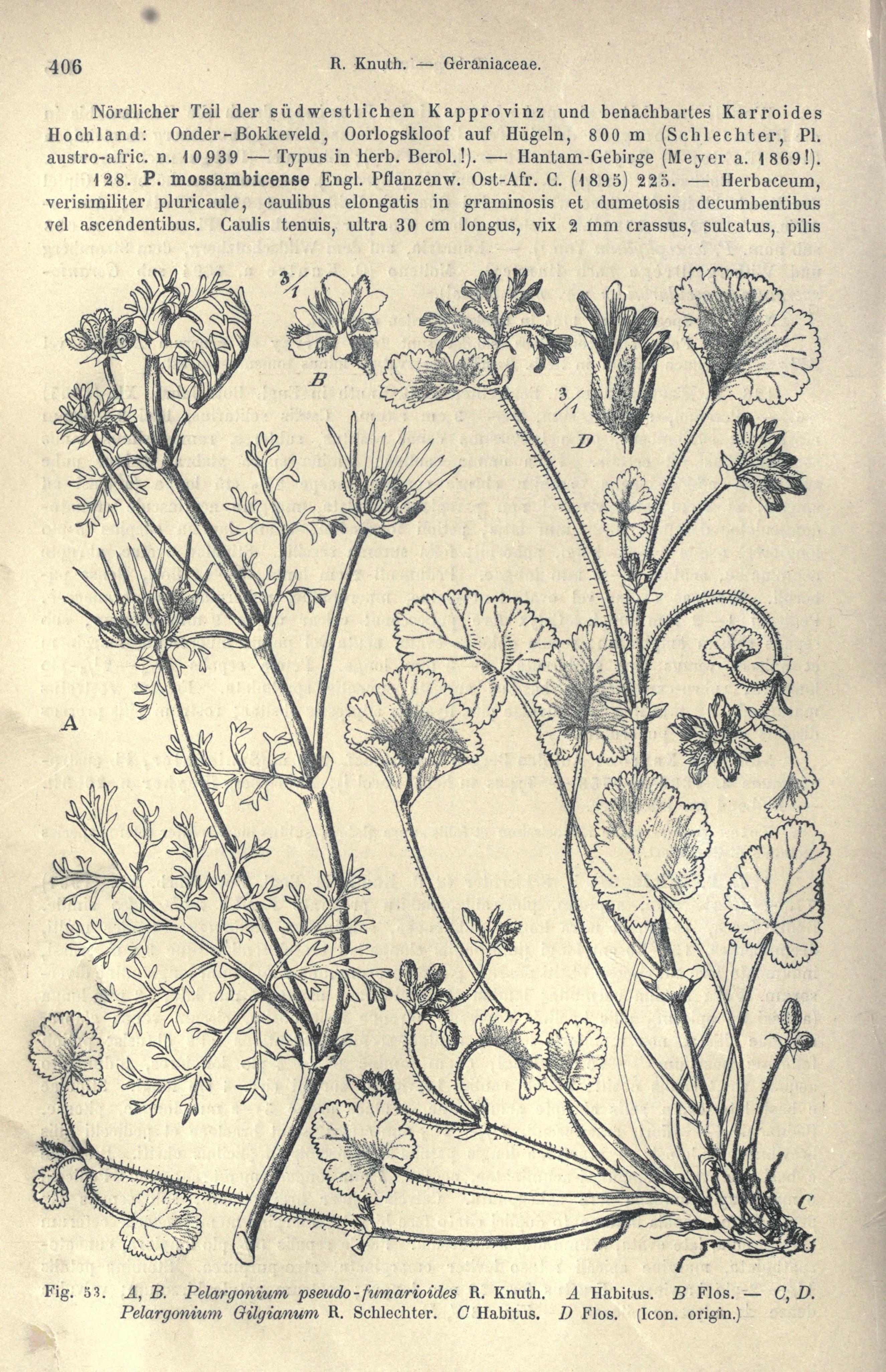 no full size  illustration available (3a)