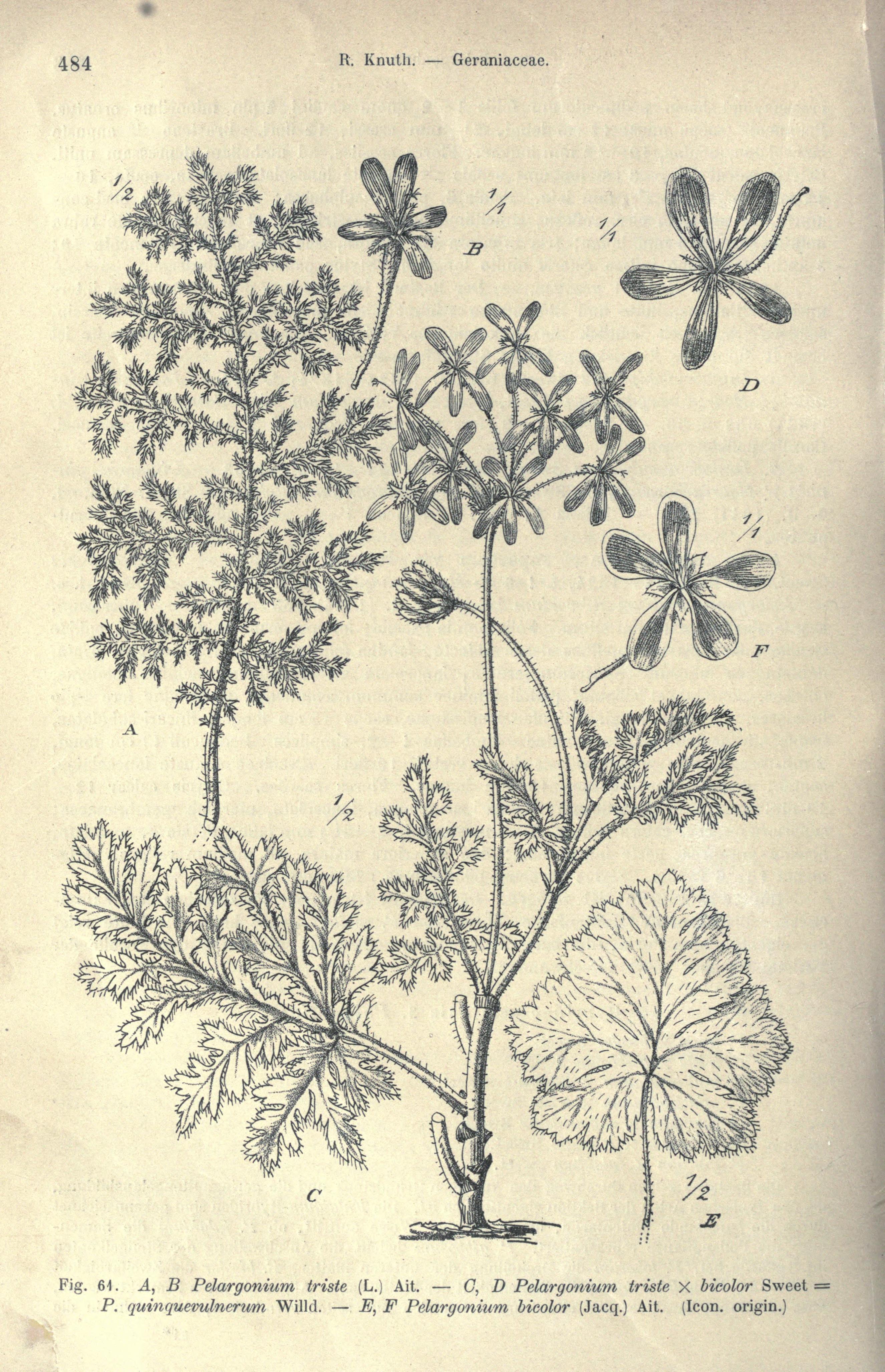 no full size  illustration available (3a)