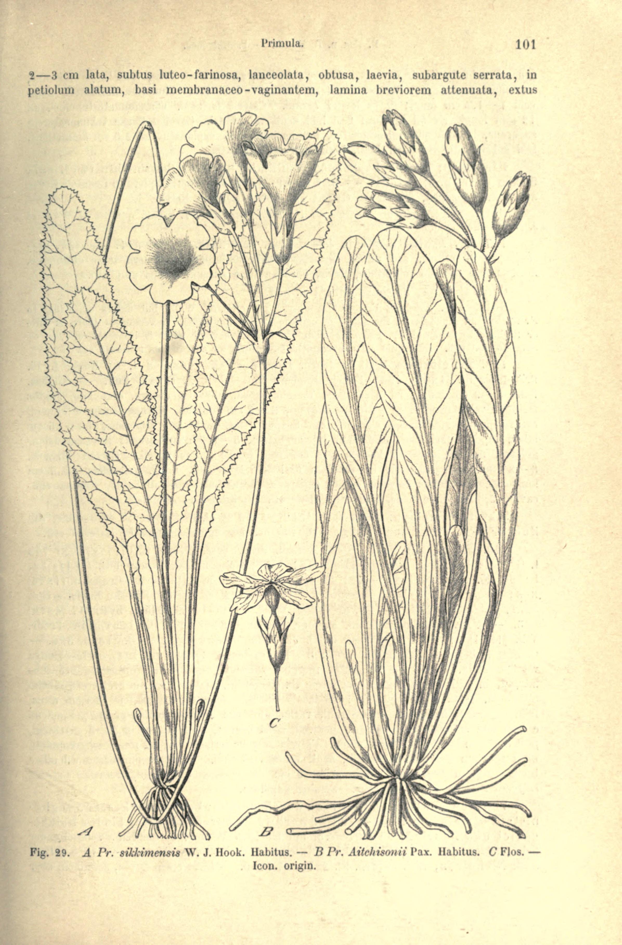 no full size  illustration available (3a)