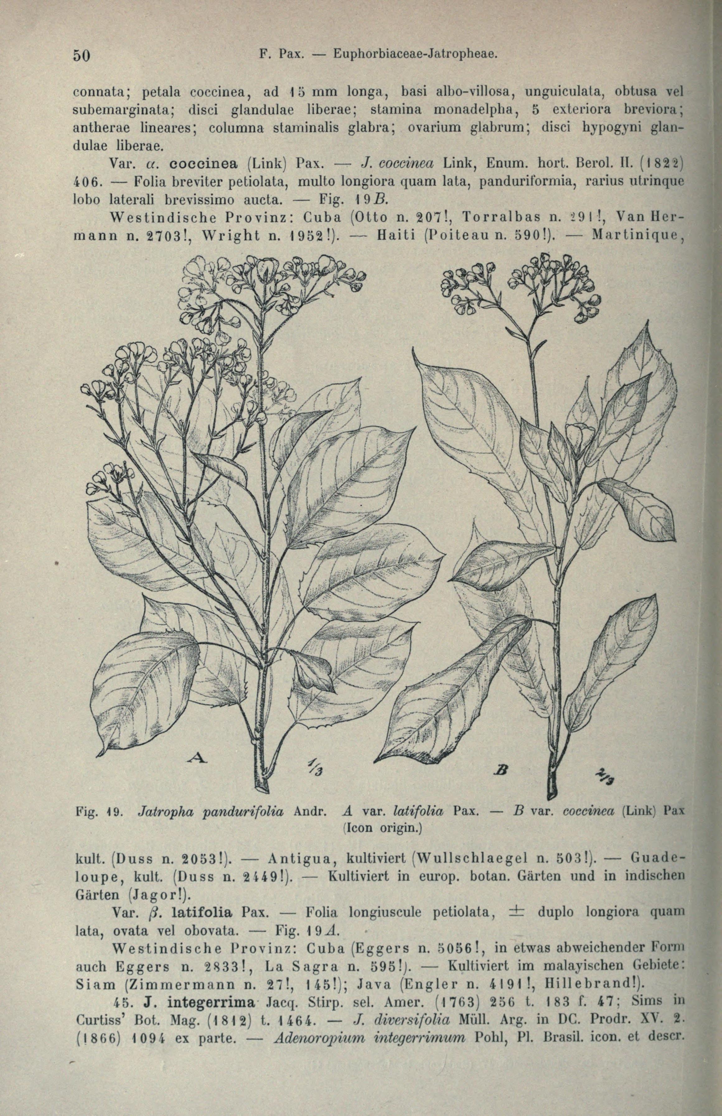 no full size  illustration available (3a)