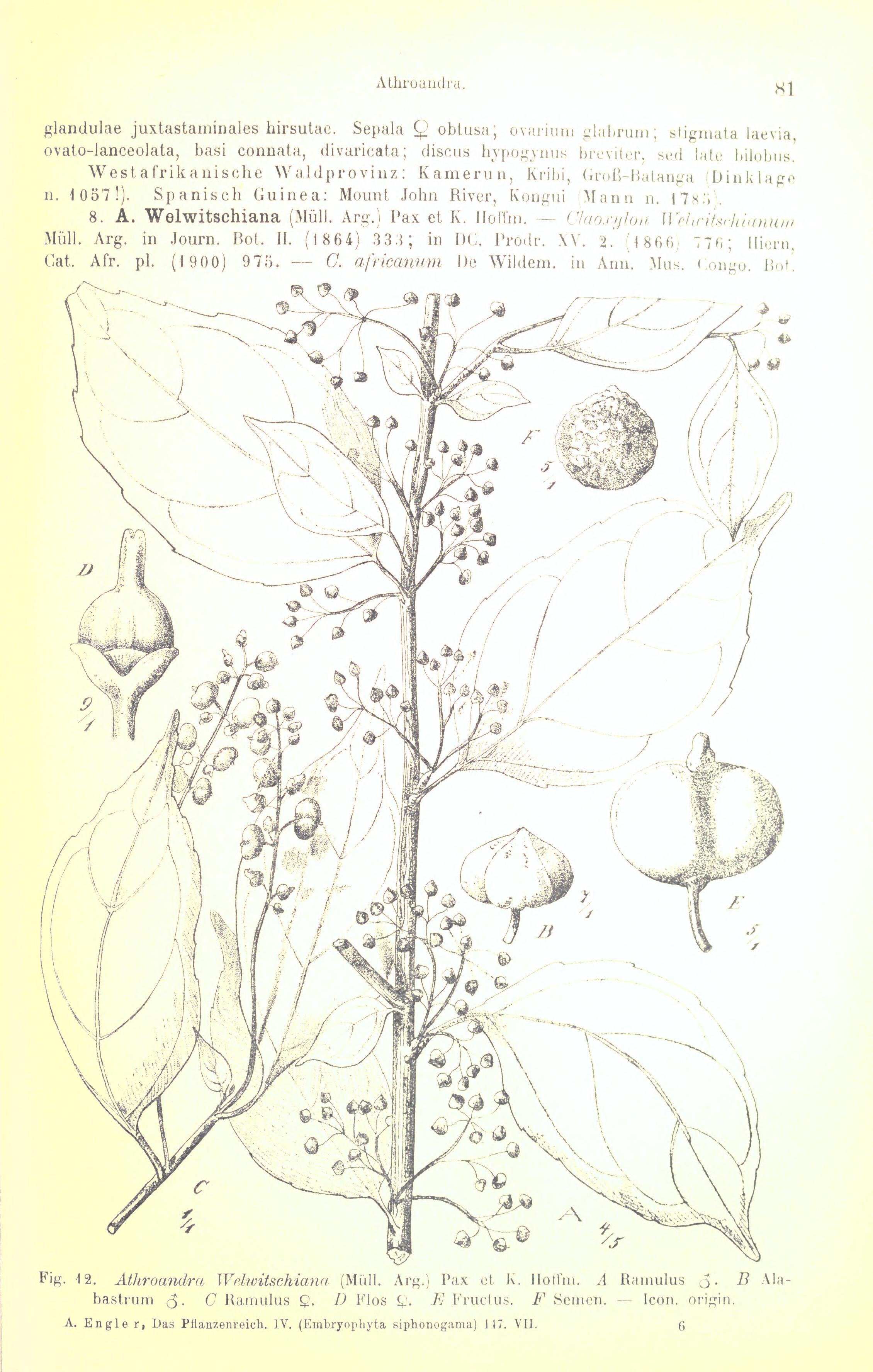 no full size  illustration available (3a)