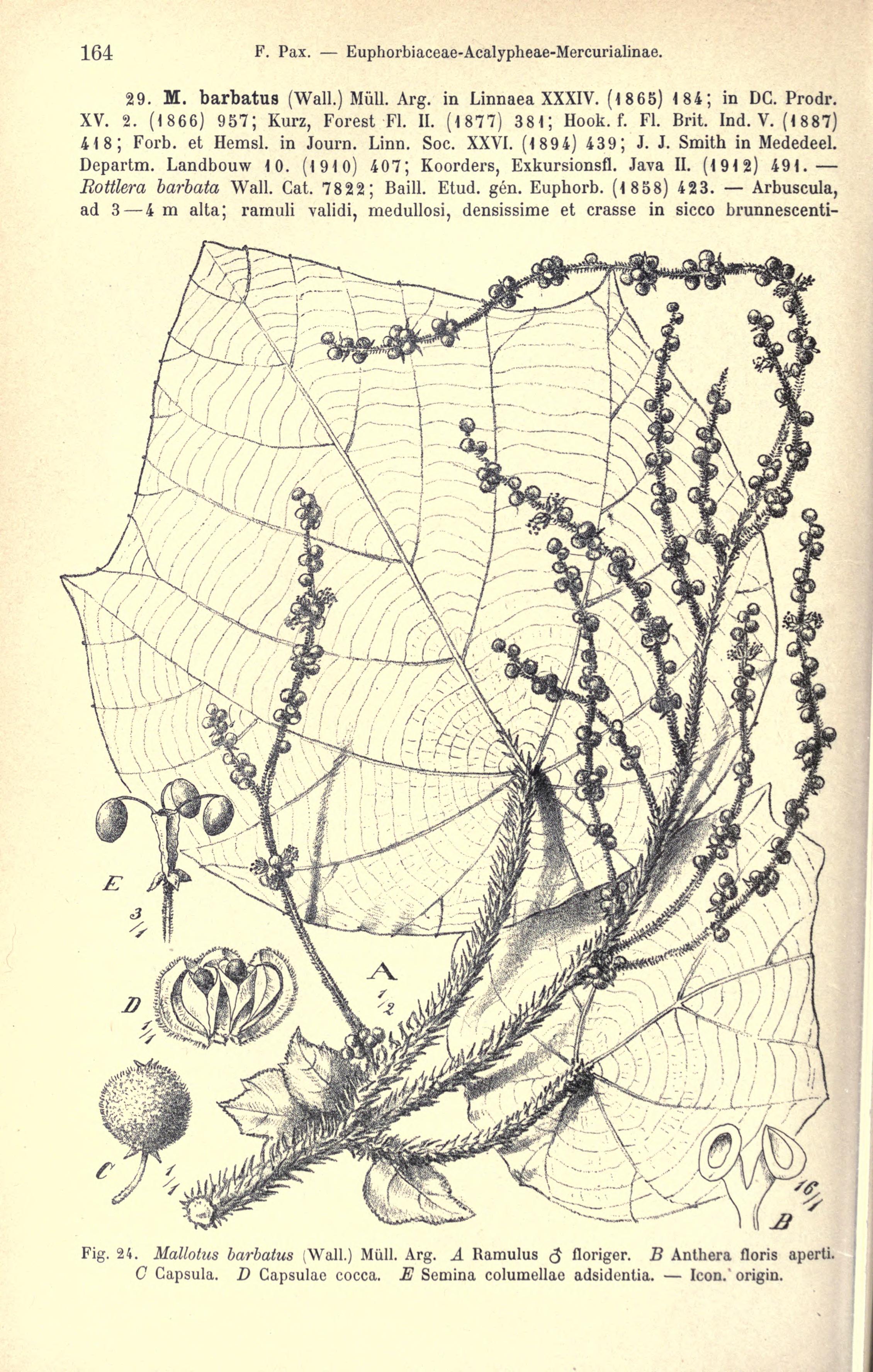 no full size  illustration available (3a)