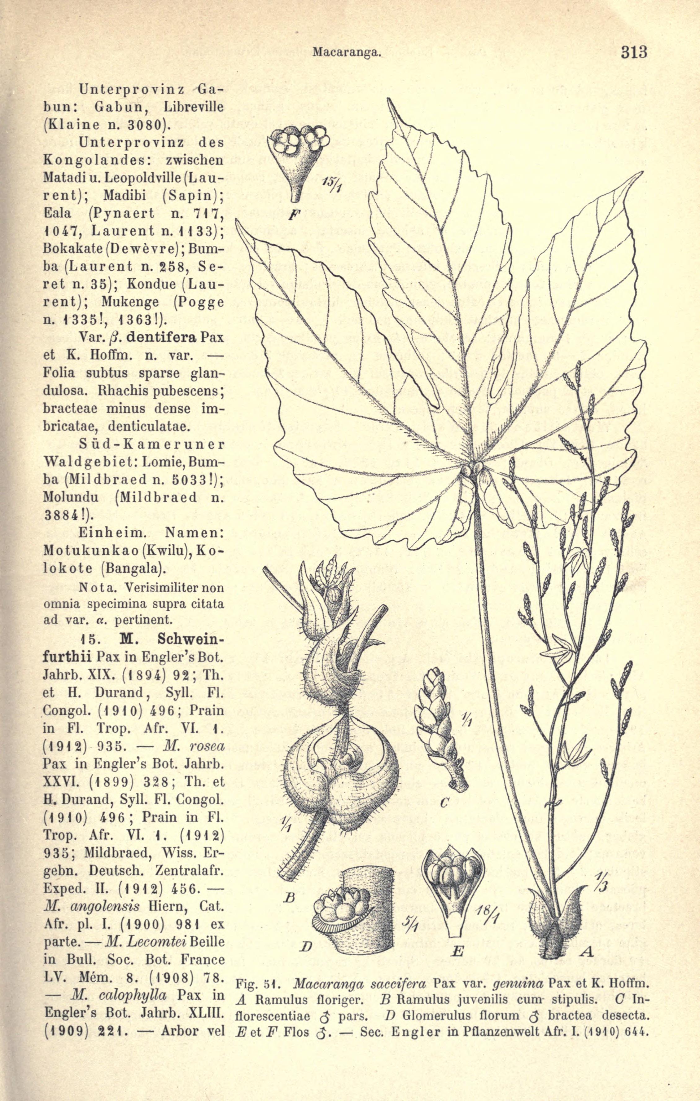 no full size  illustration available (3a)