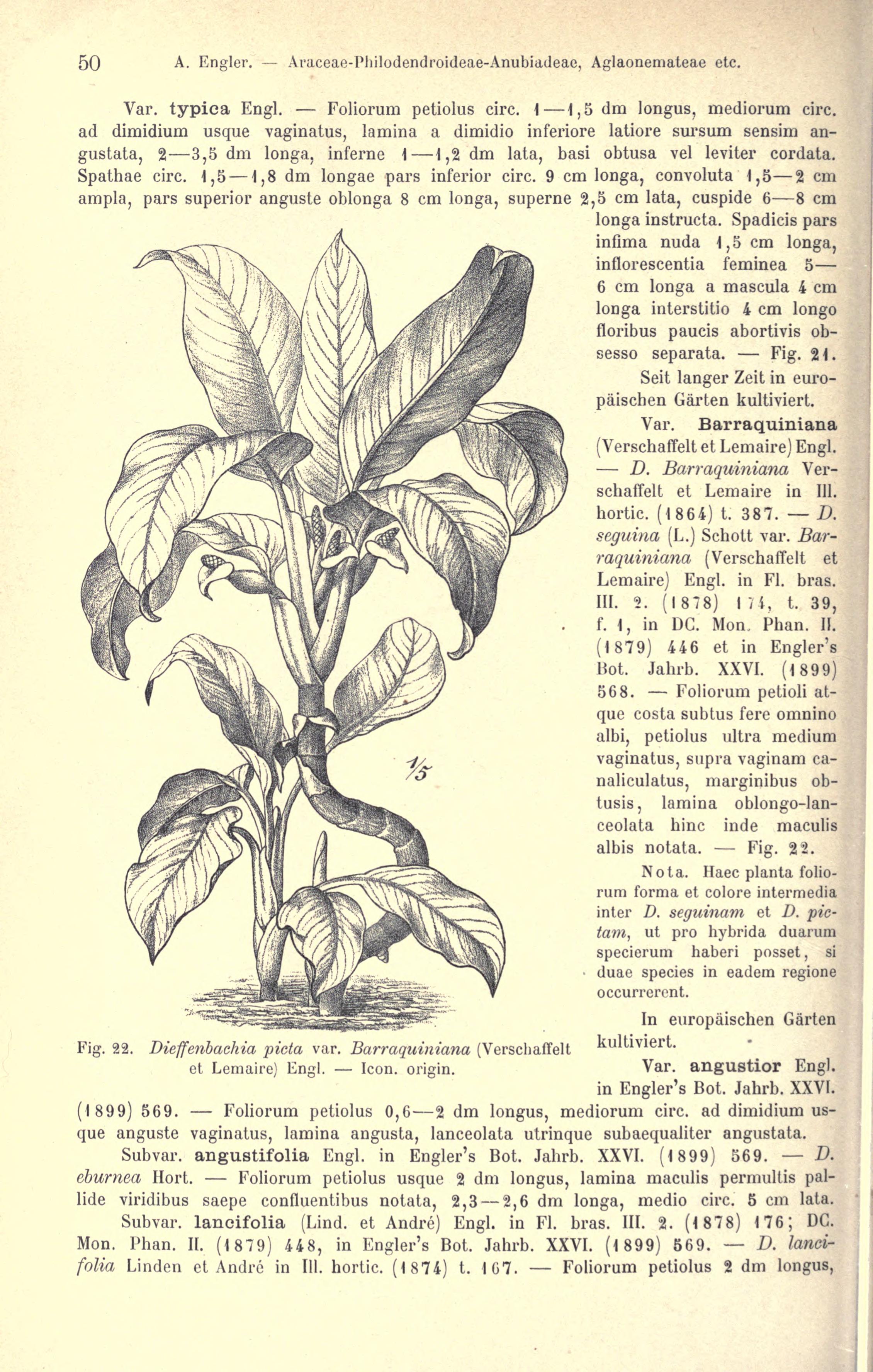 no full size  illustration available (3a)