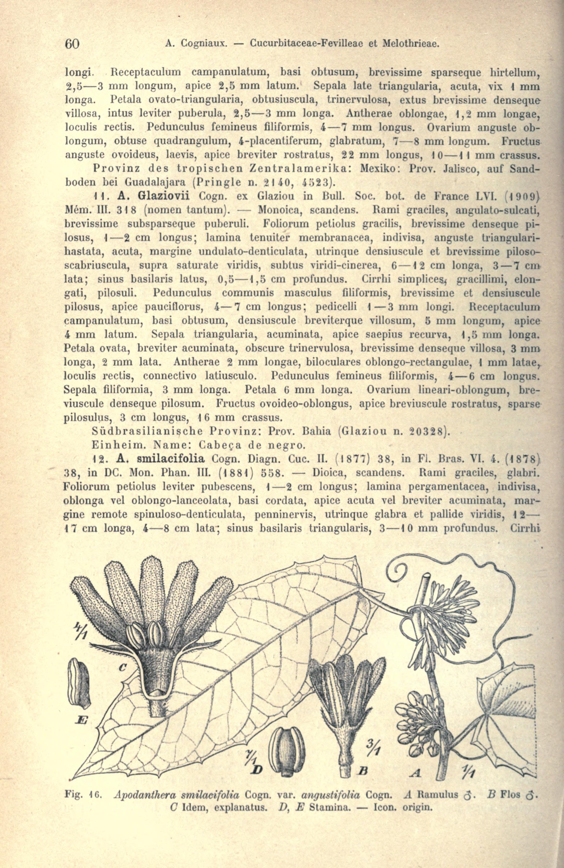 no full size  illustration available (3a)