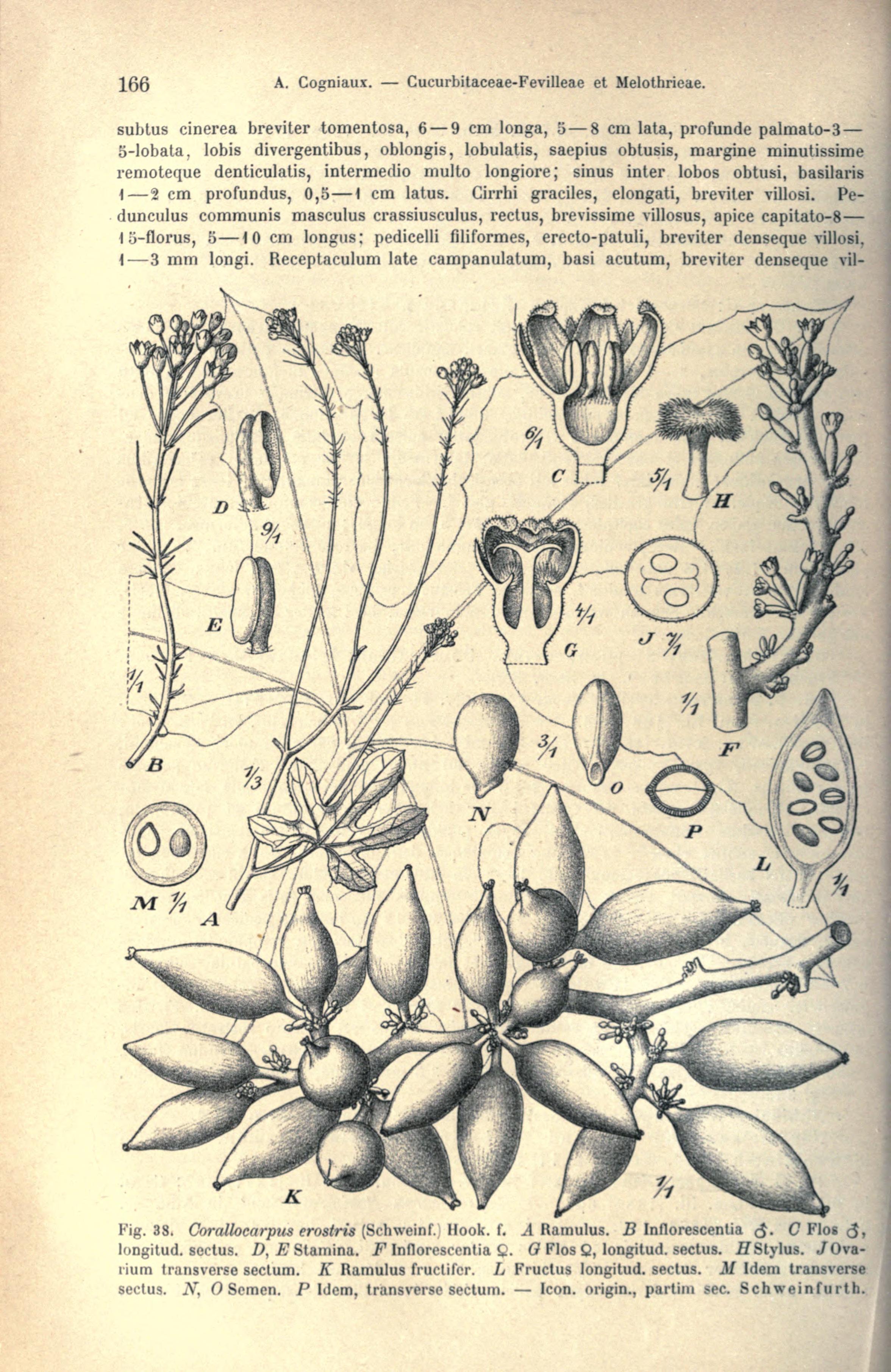 no full size  illustration available (3a)