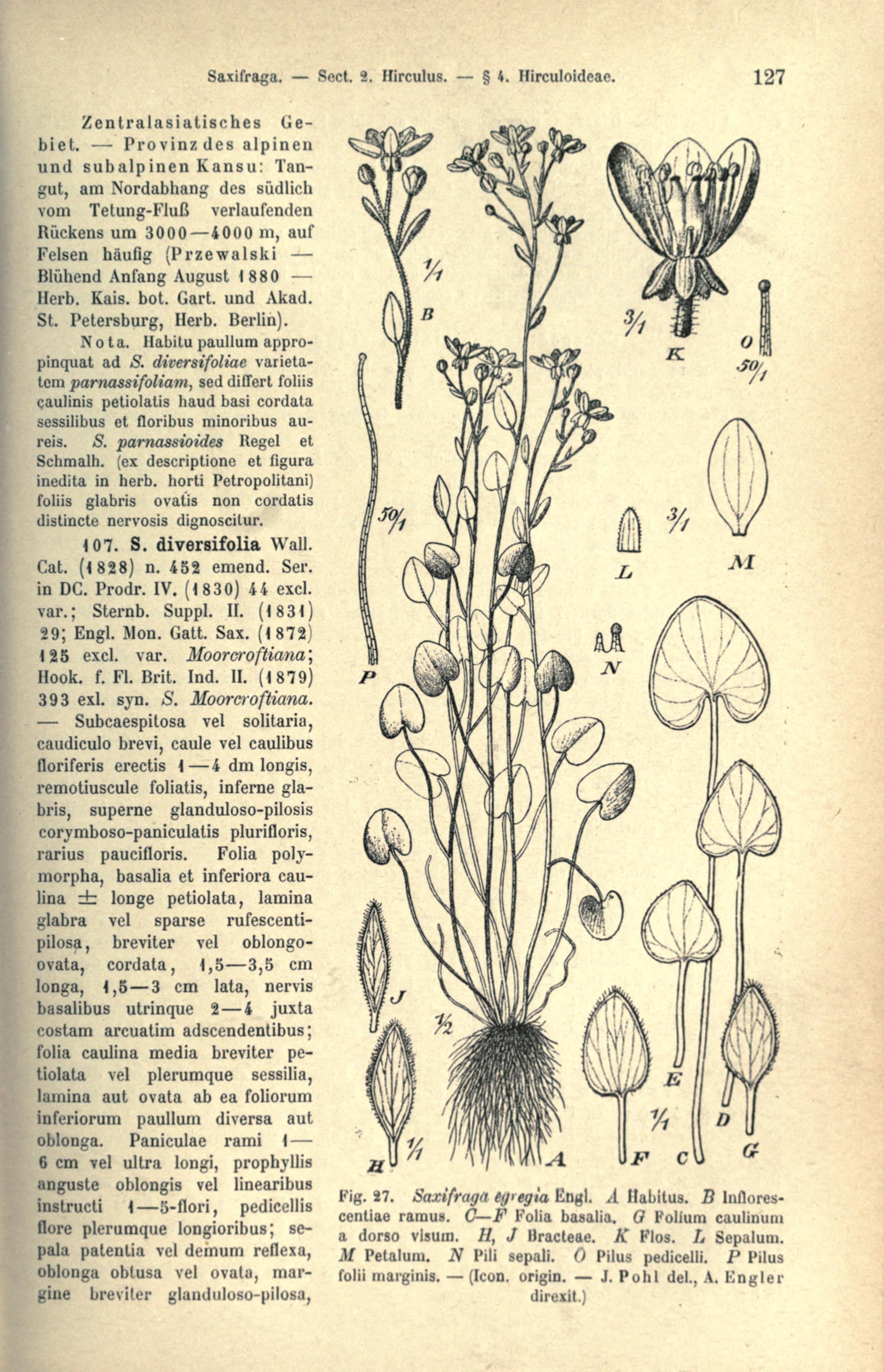 no full size  illustration available (3a)