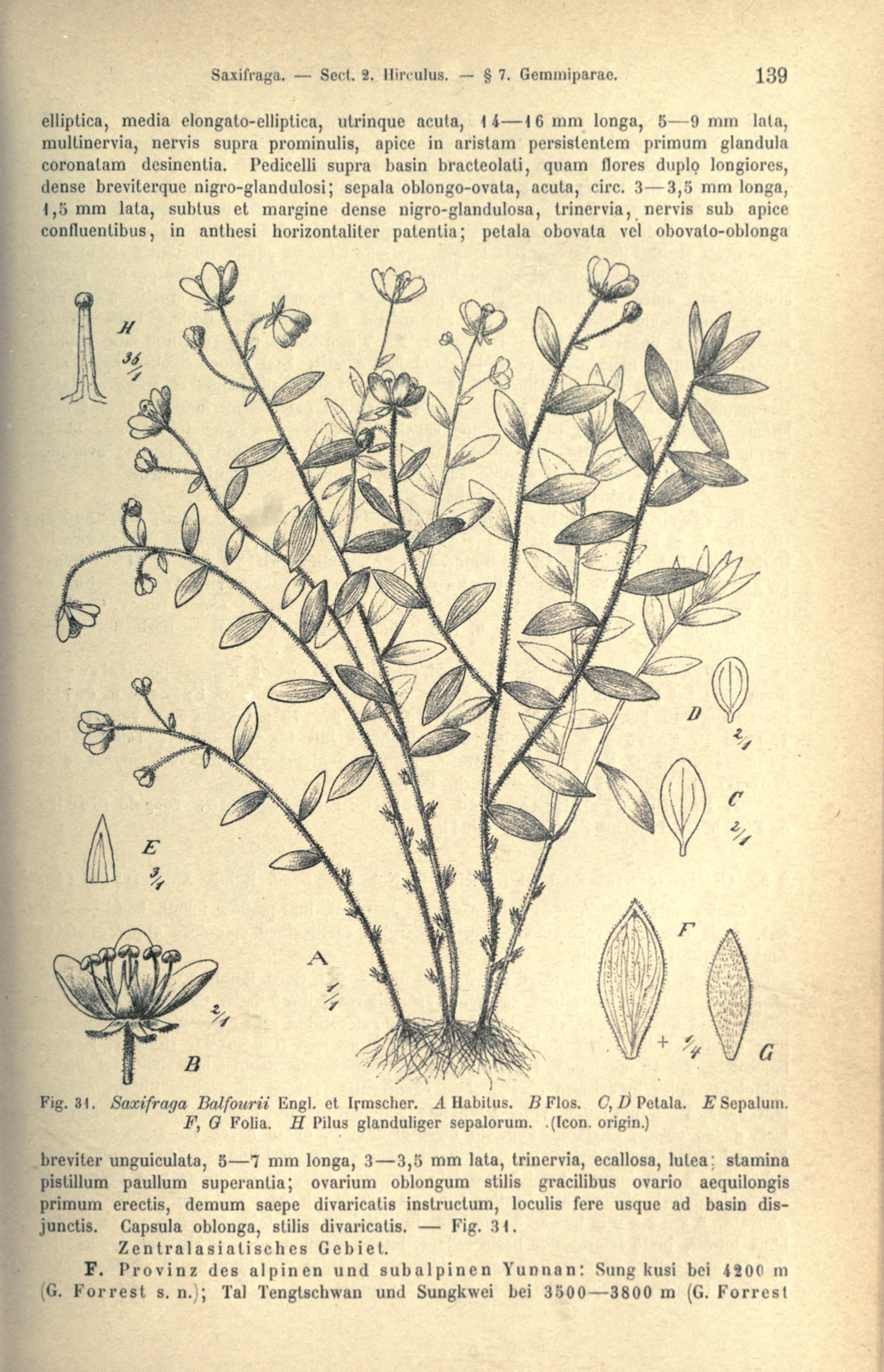 no full size  illustration available (3a)