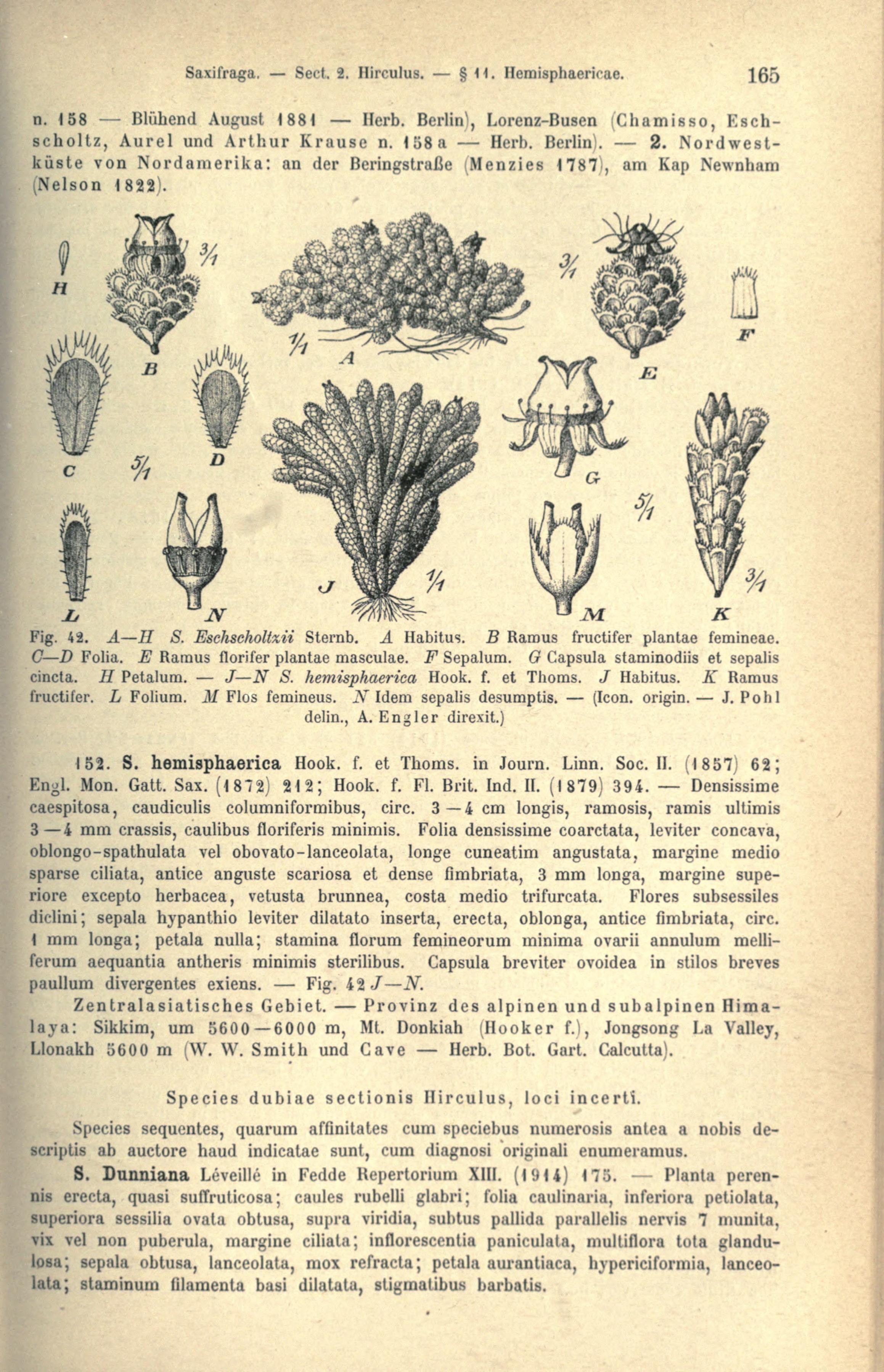 no full size  illustration available (3a)