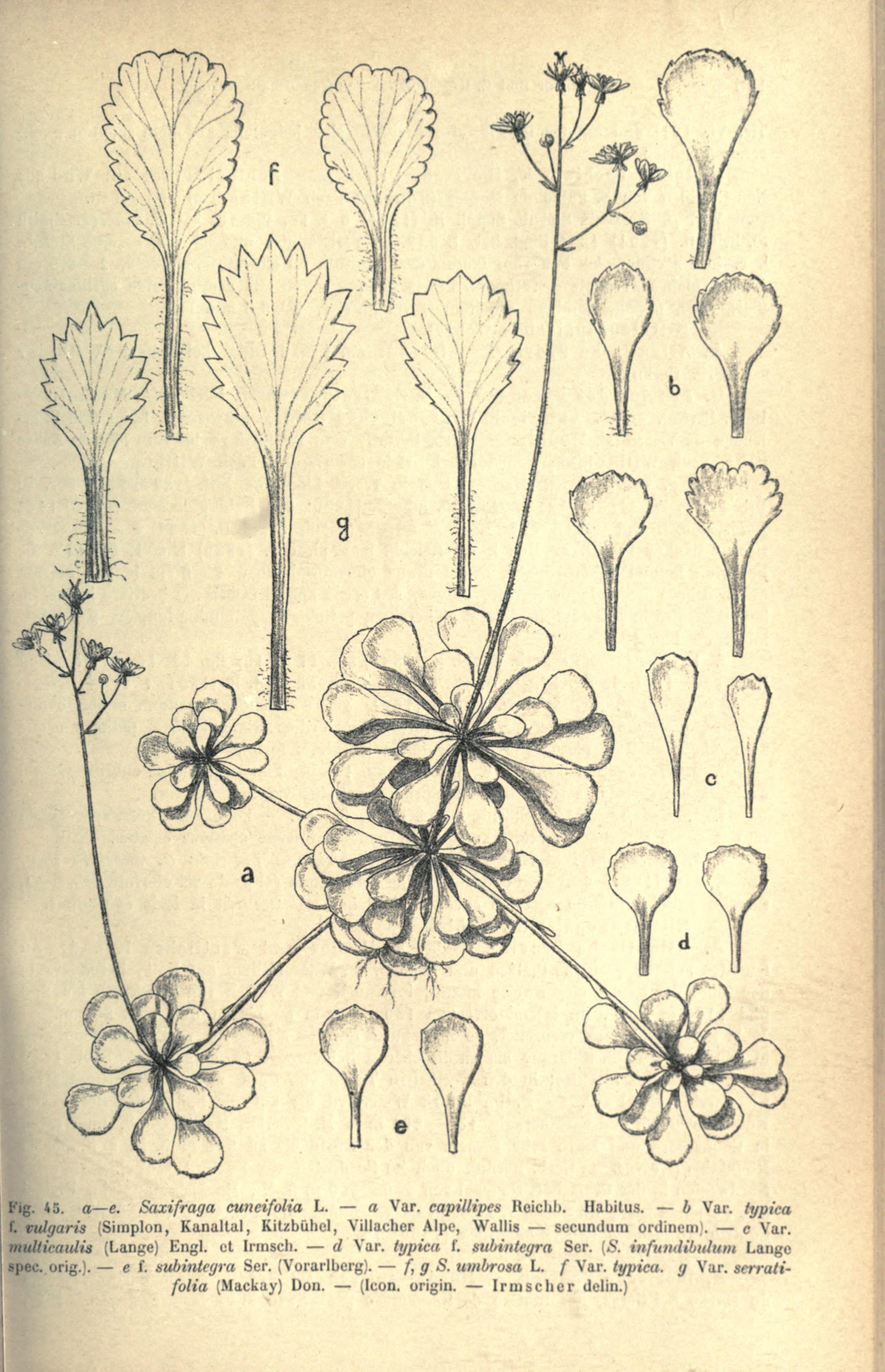 no full size  illustration available (3a)