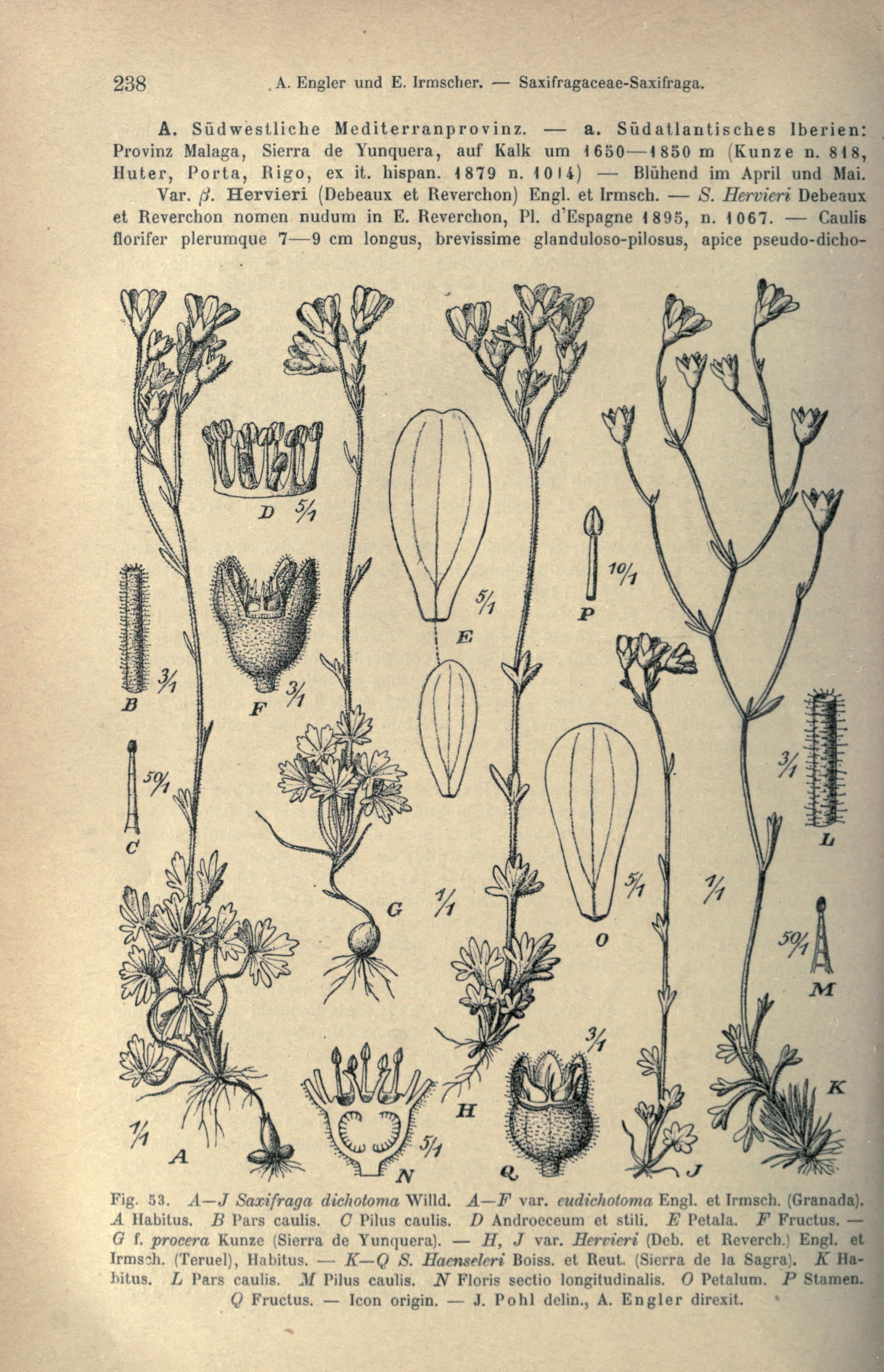 no full size  illustration available (3a)