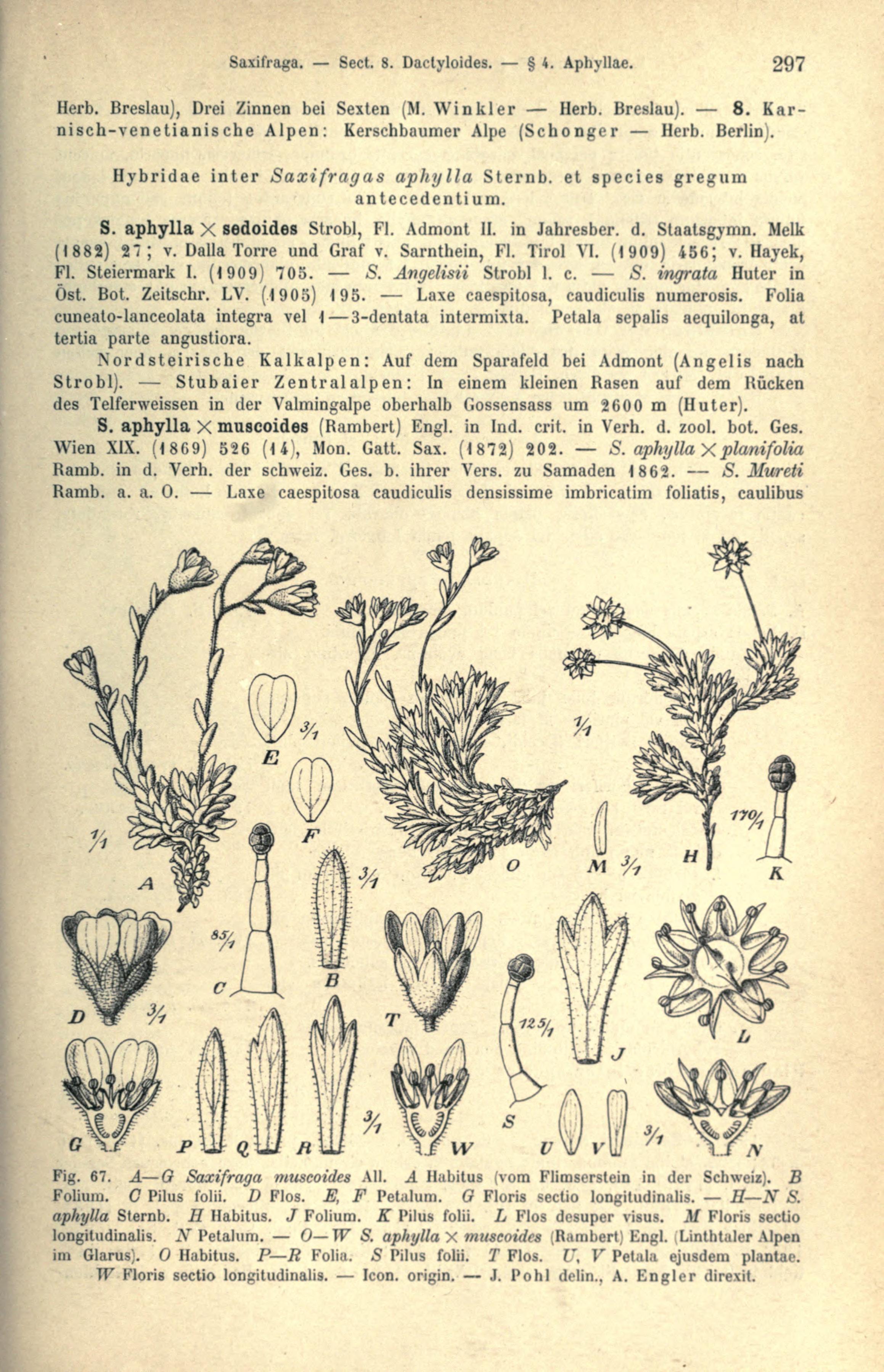 no full size  illustration available (3a)