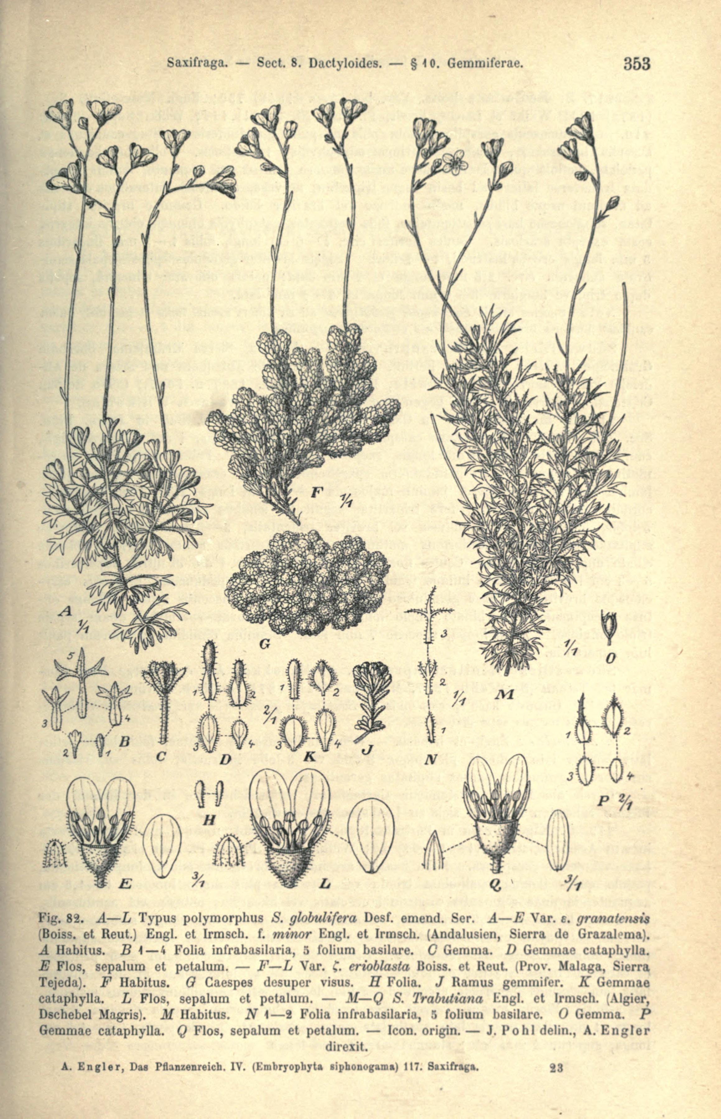 no full size  illustration available (3a)