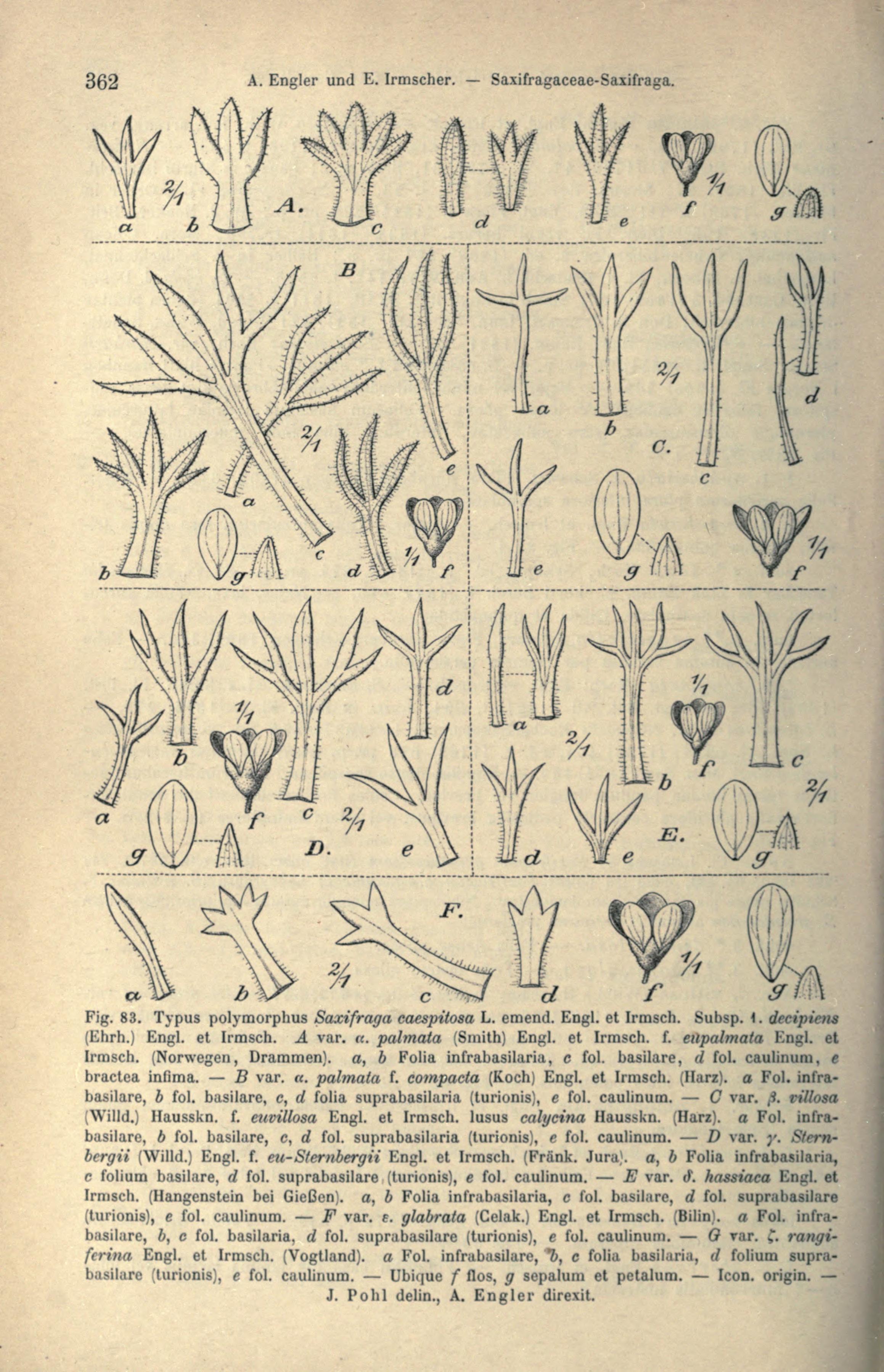 no full size  illustration available (3a)