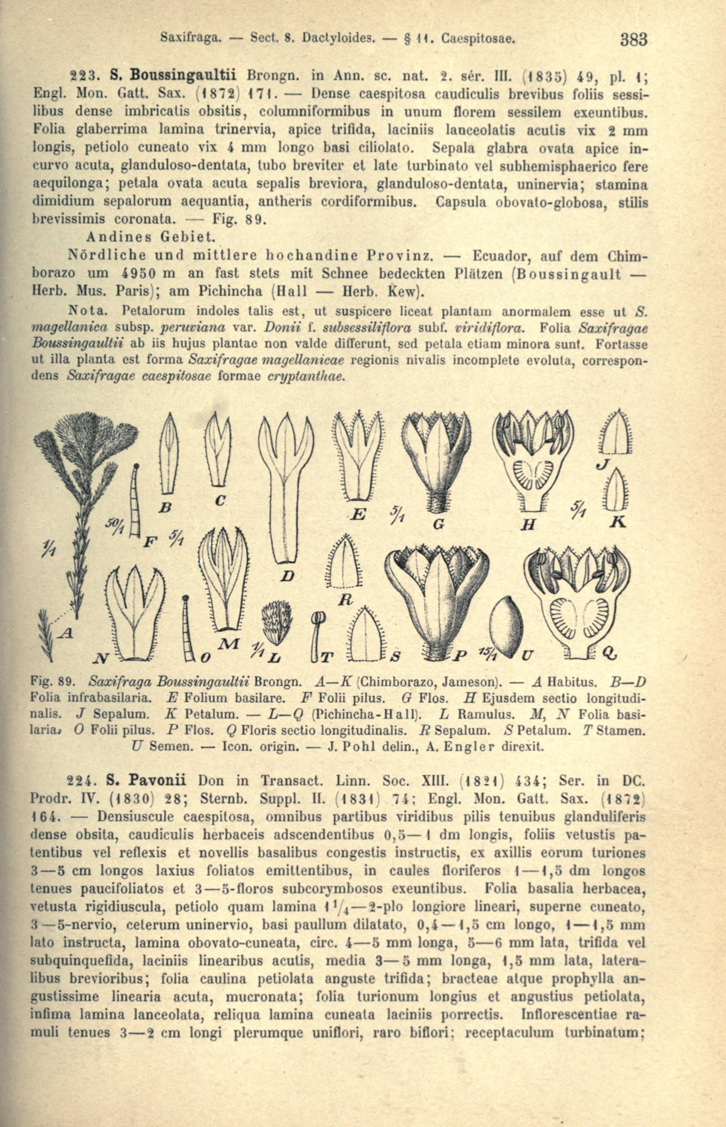 no full size  illustration available (3a)