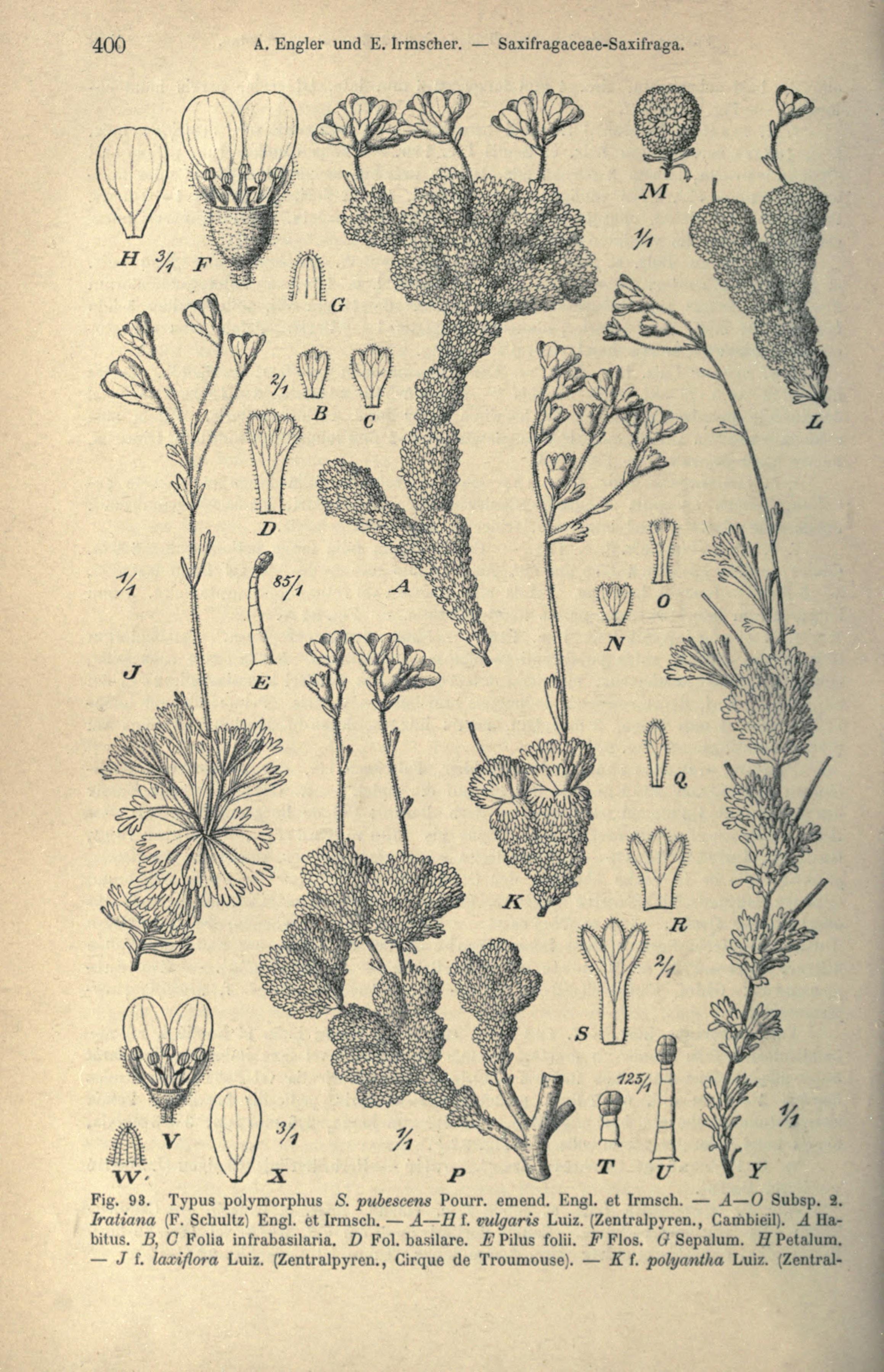 no full size  illustration available (3a)