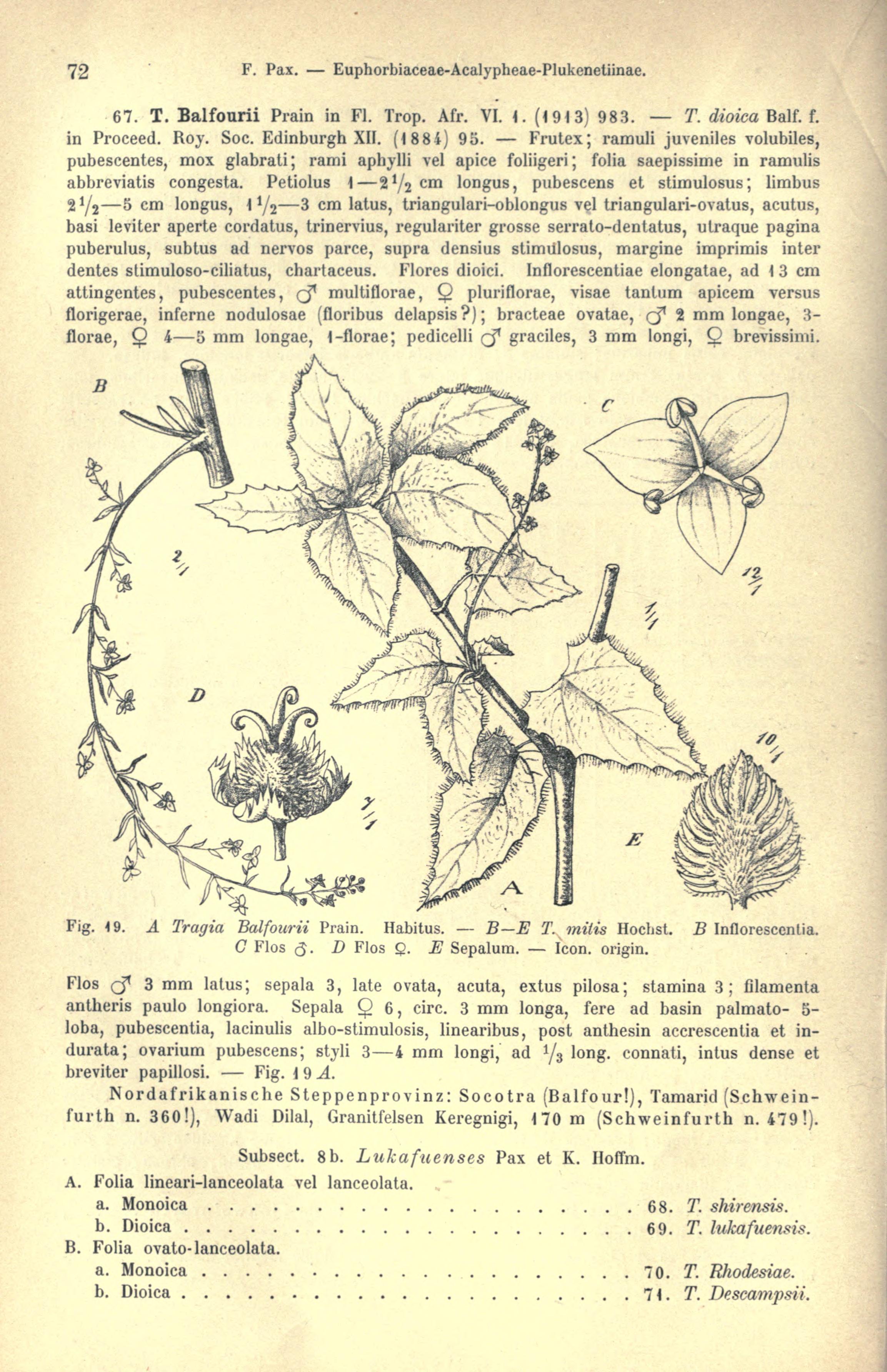 no full size  illustration available (3a)