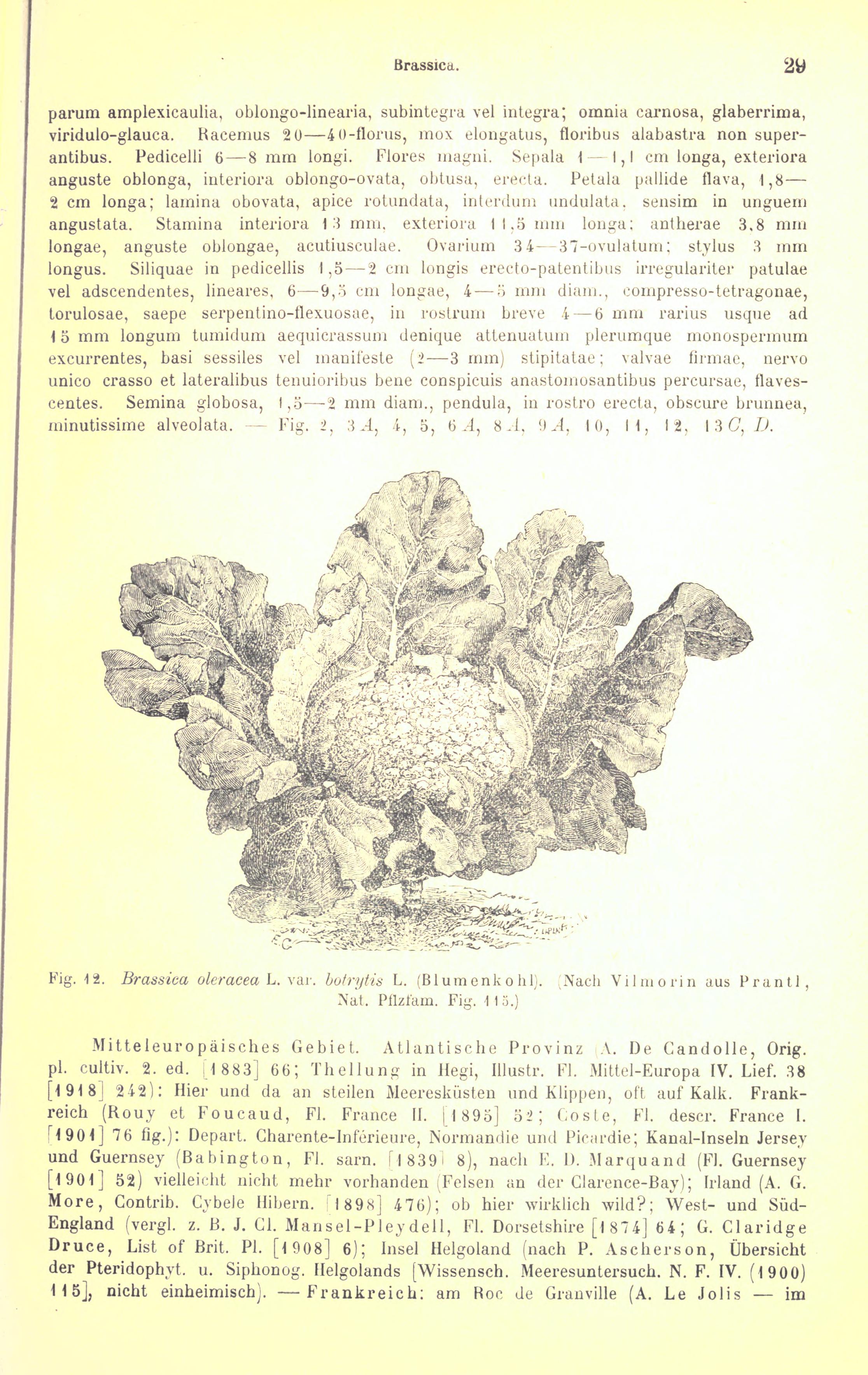 no full size  illustration available (3a)