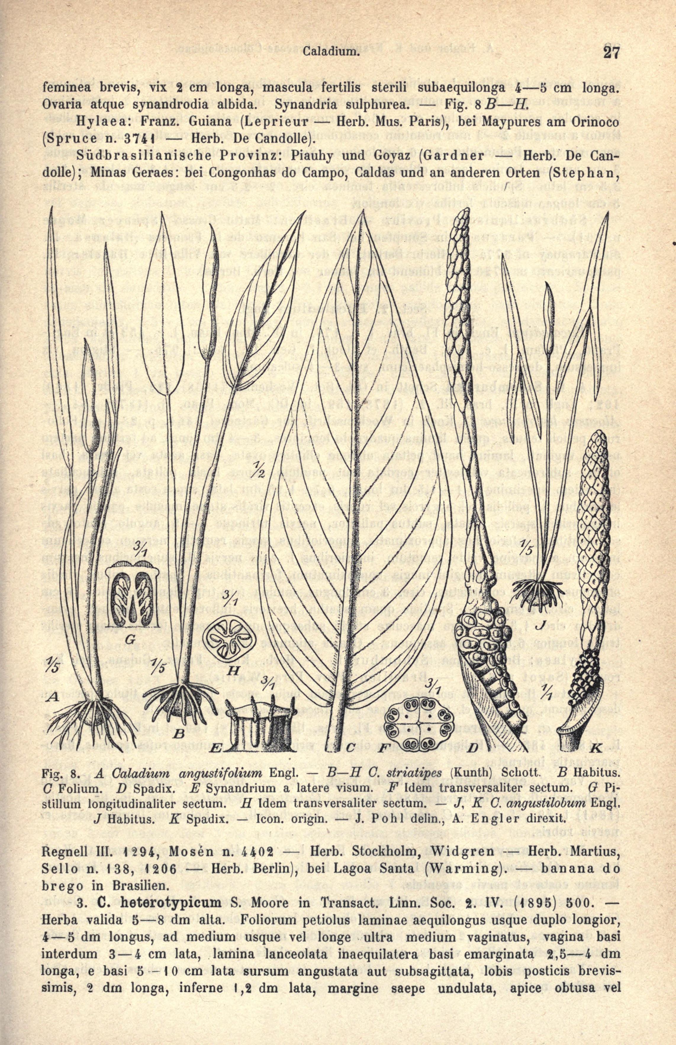 no full size  illustration available (3a)