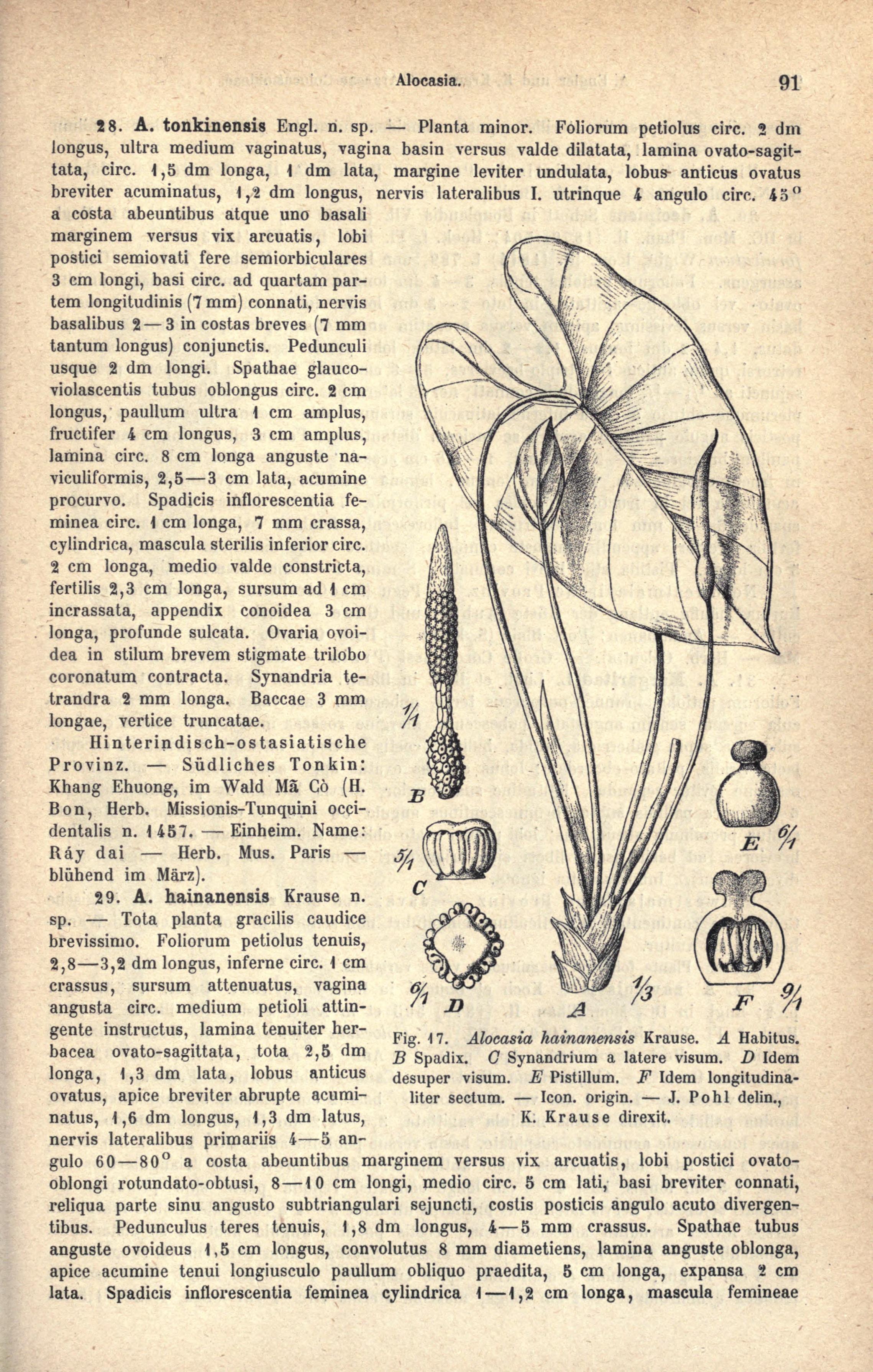 no full size  illustration available (3a)