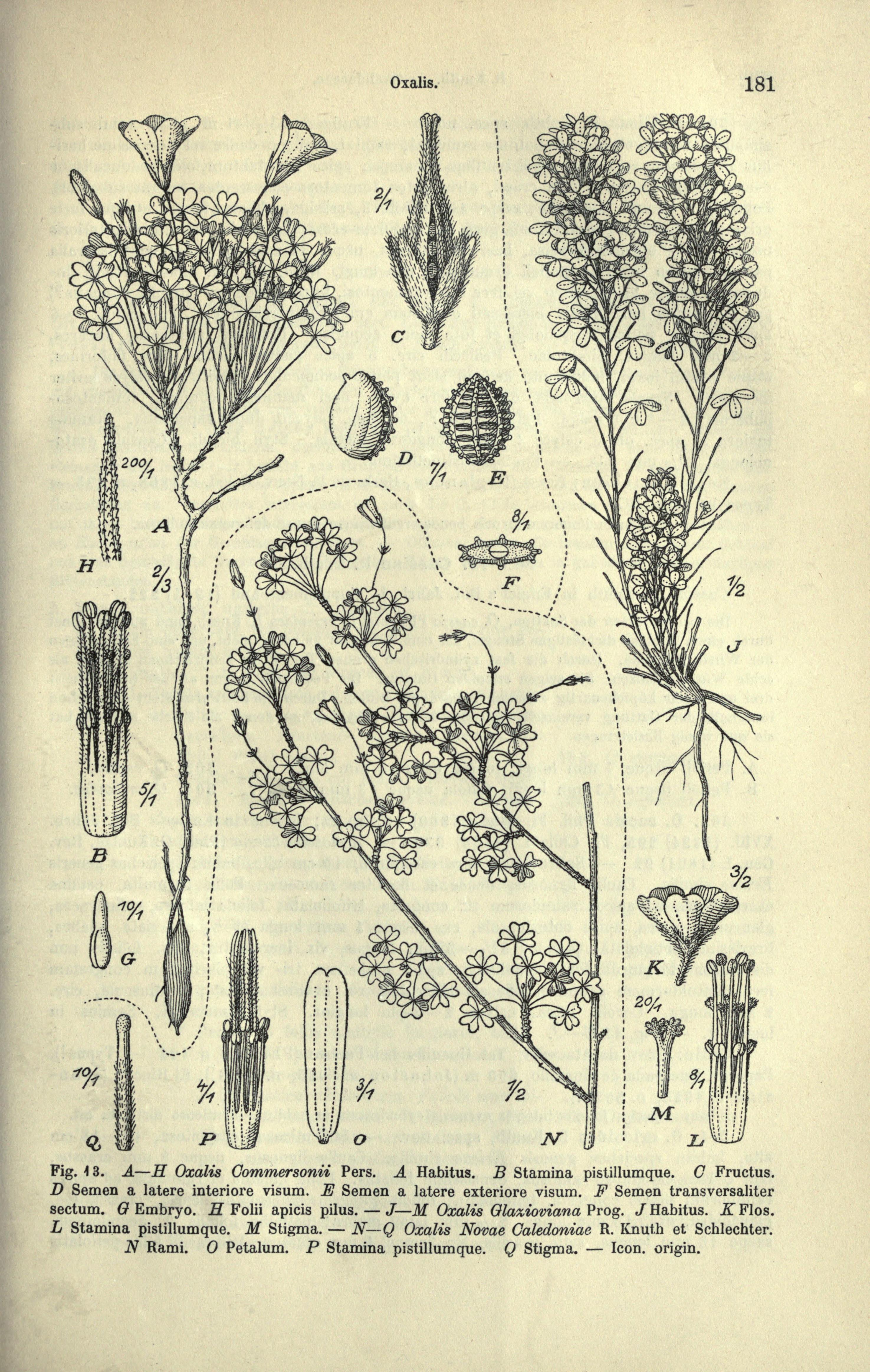 no full size  illustration available (3a)