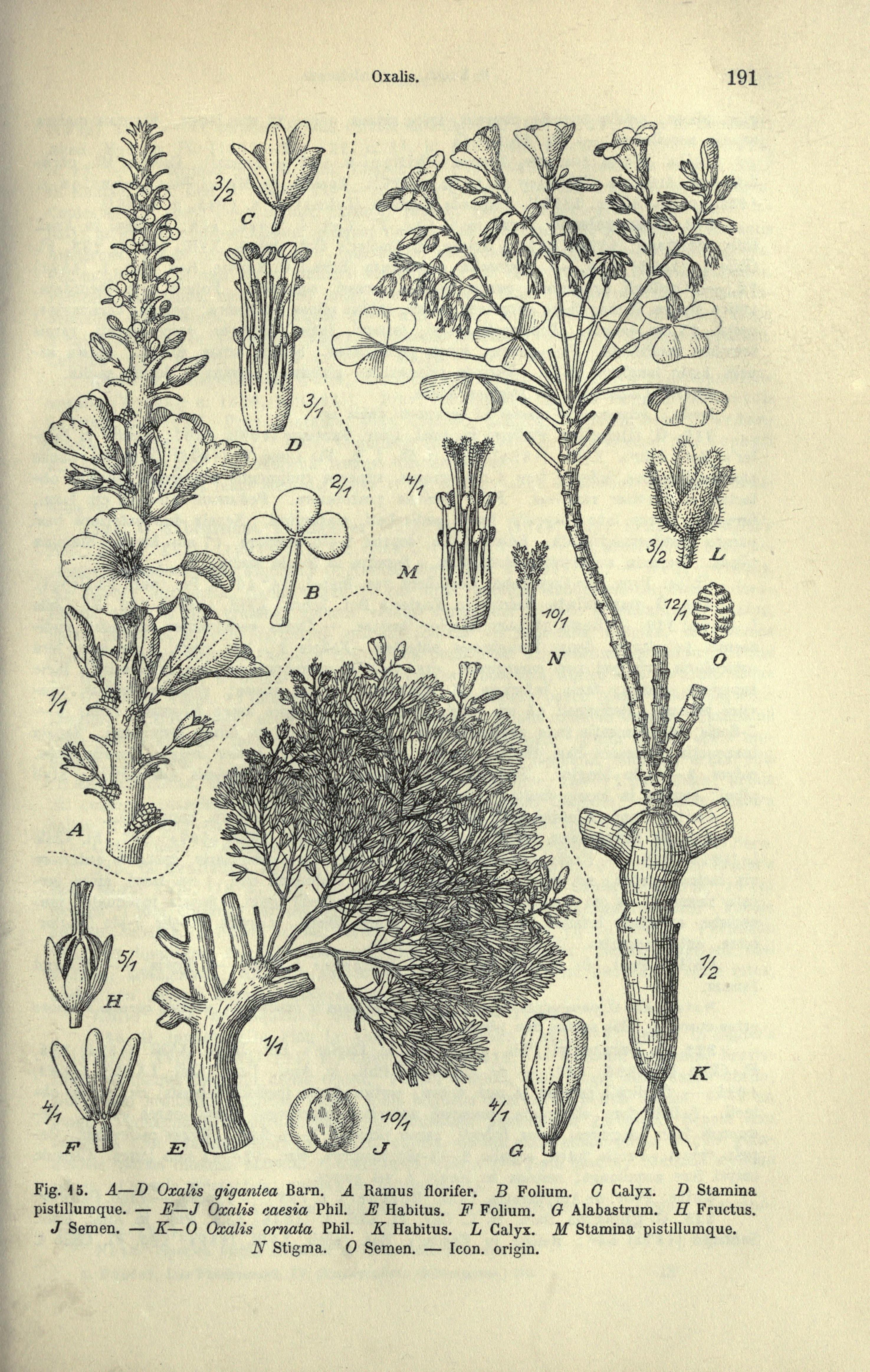 no full size  illustration available (3a)