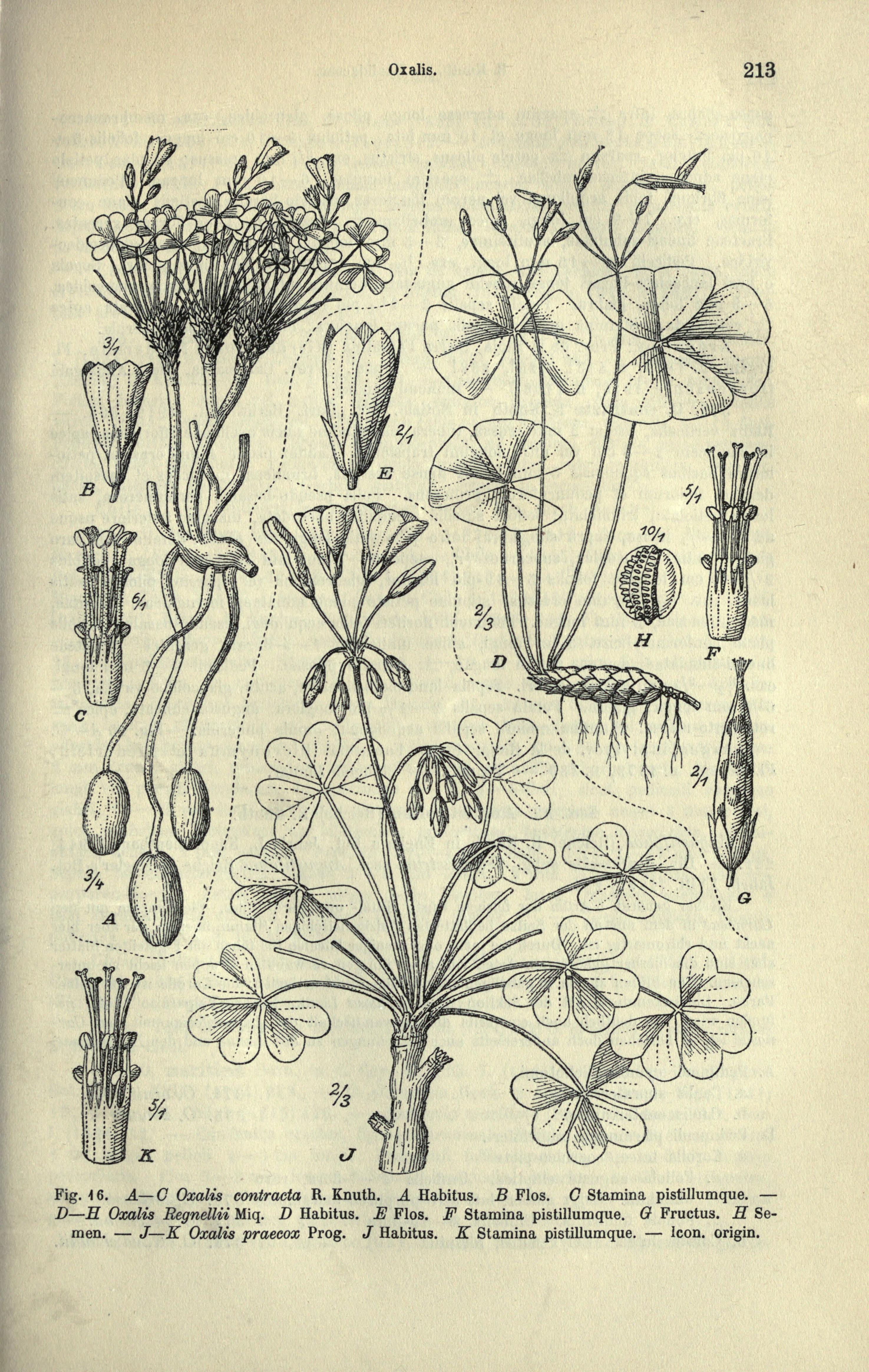 no full size  illustration available (3a)