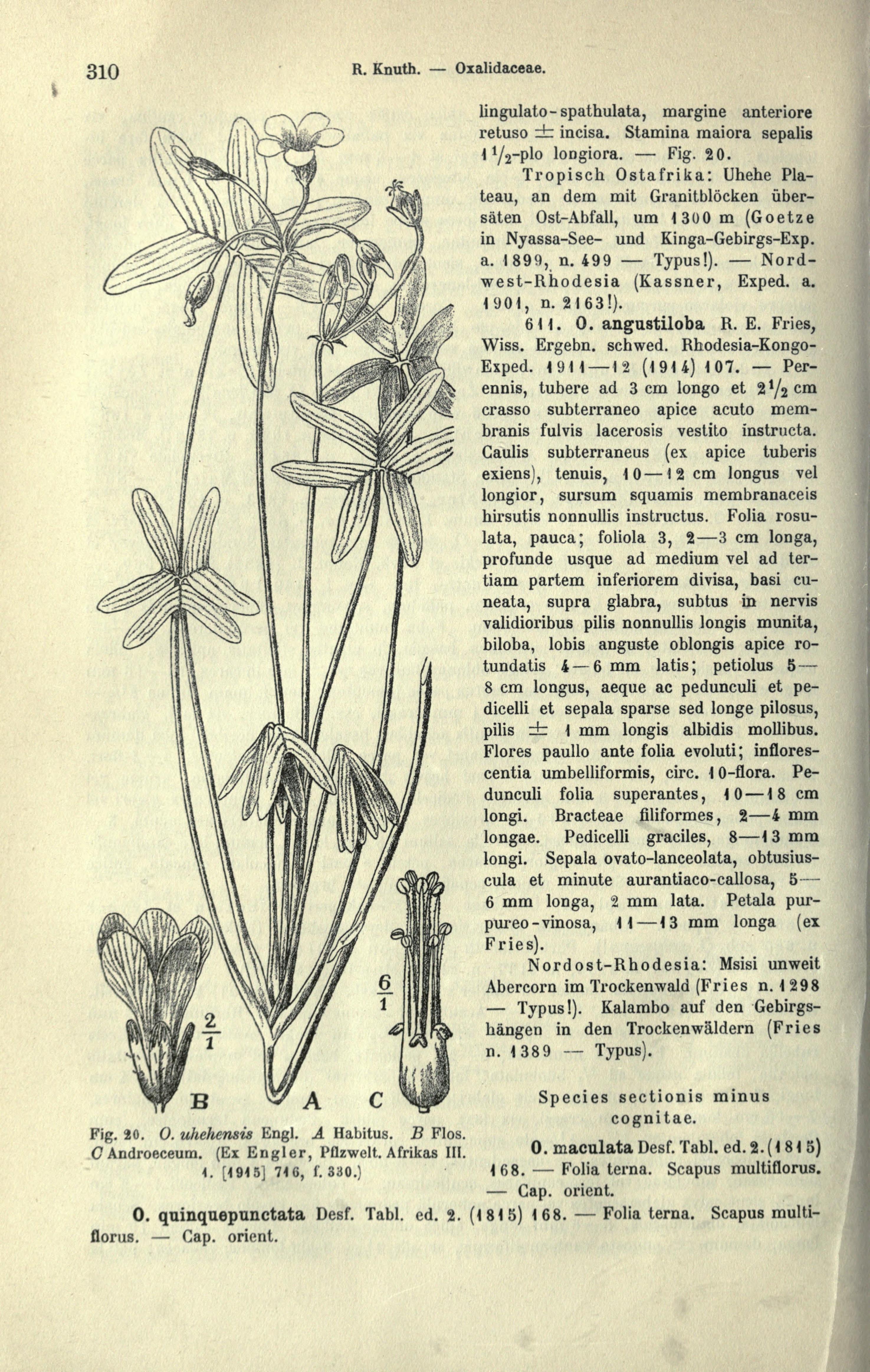 no full size  illustration available (3a)