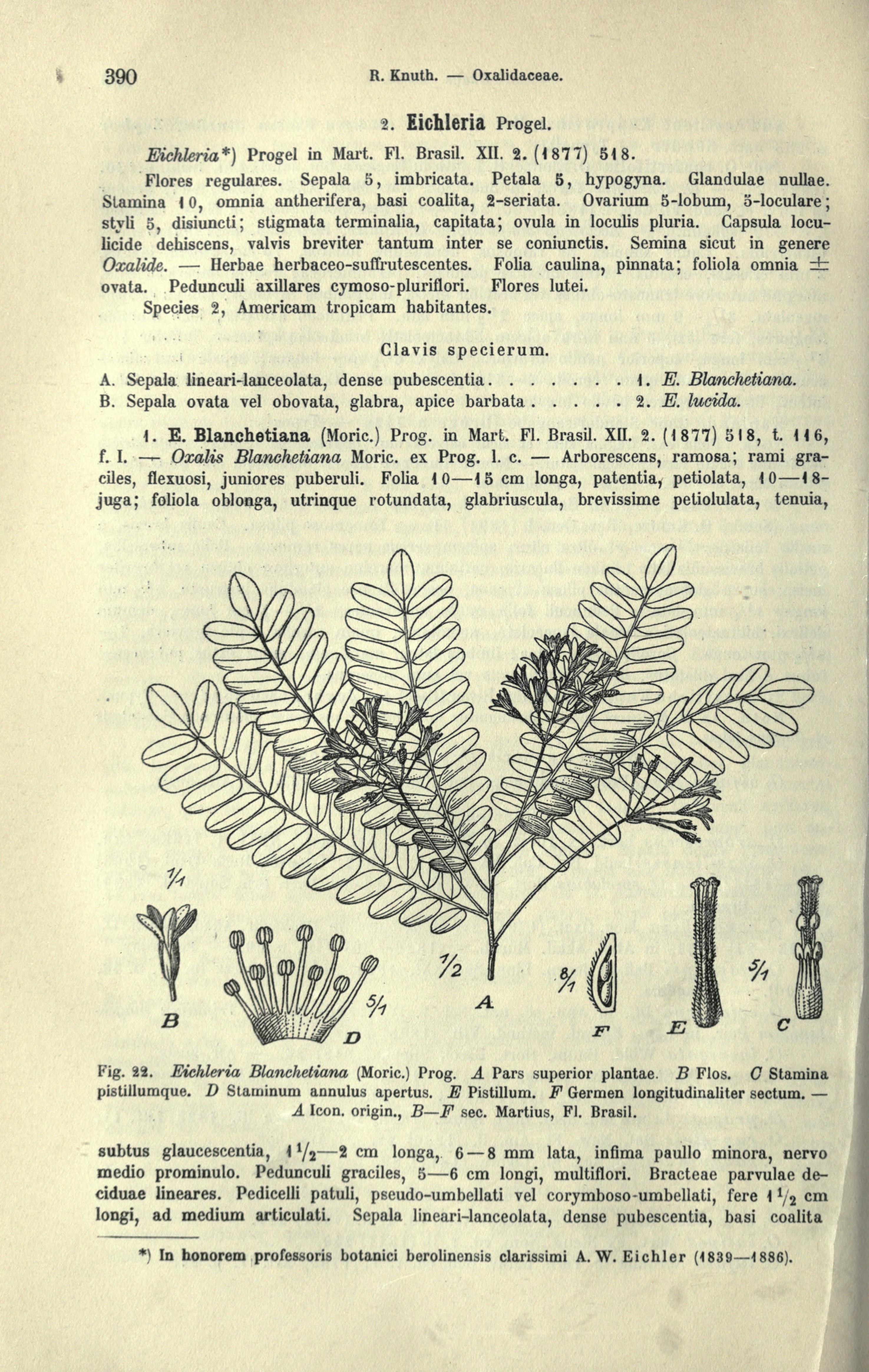 no full size  illustration available (3a)