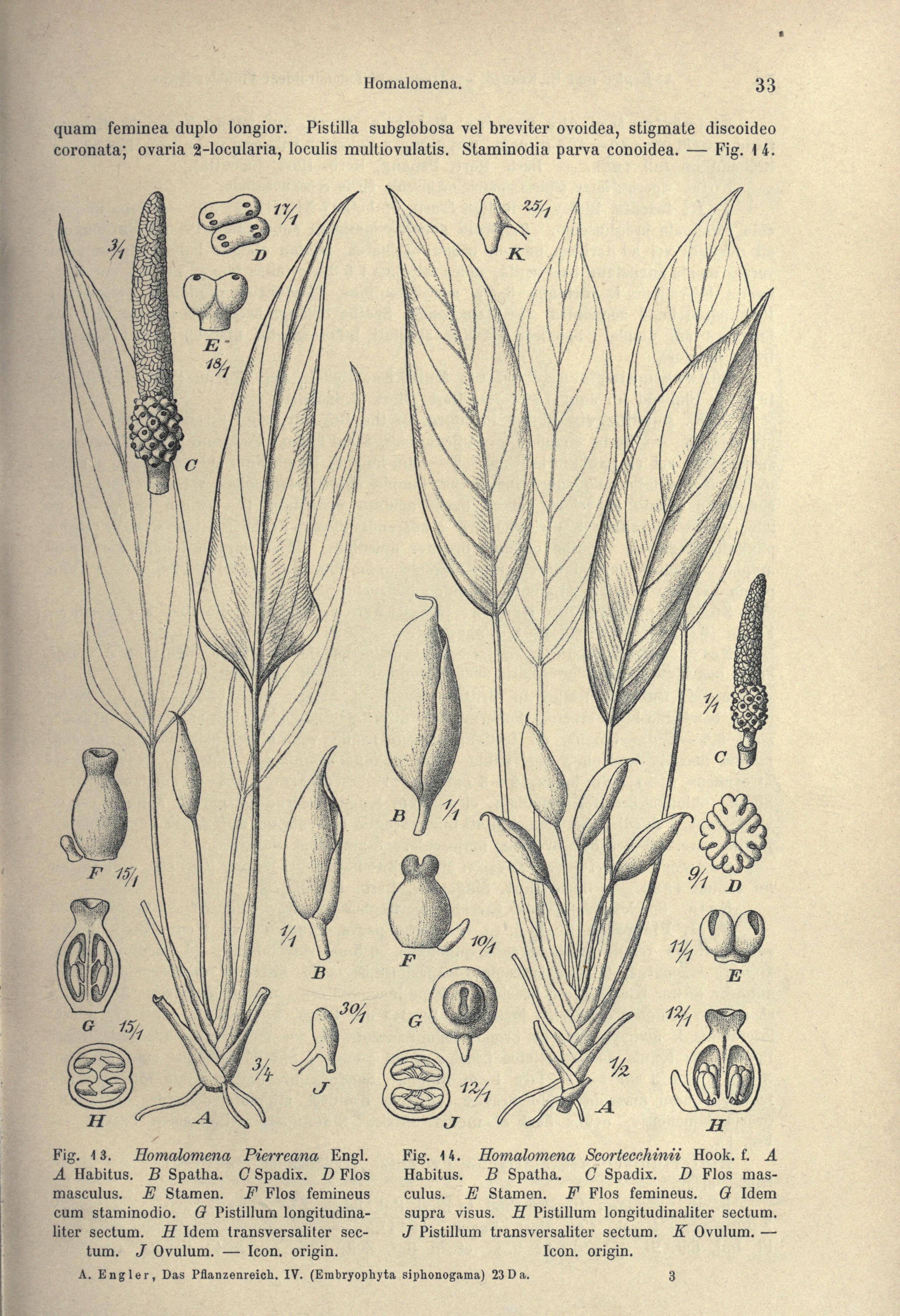 no full size  illustration available (3a)