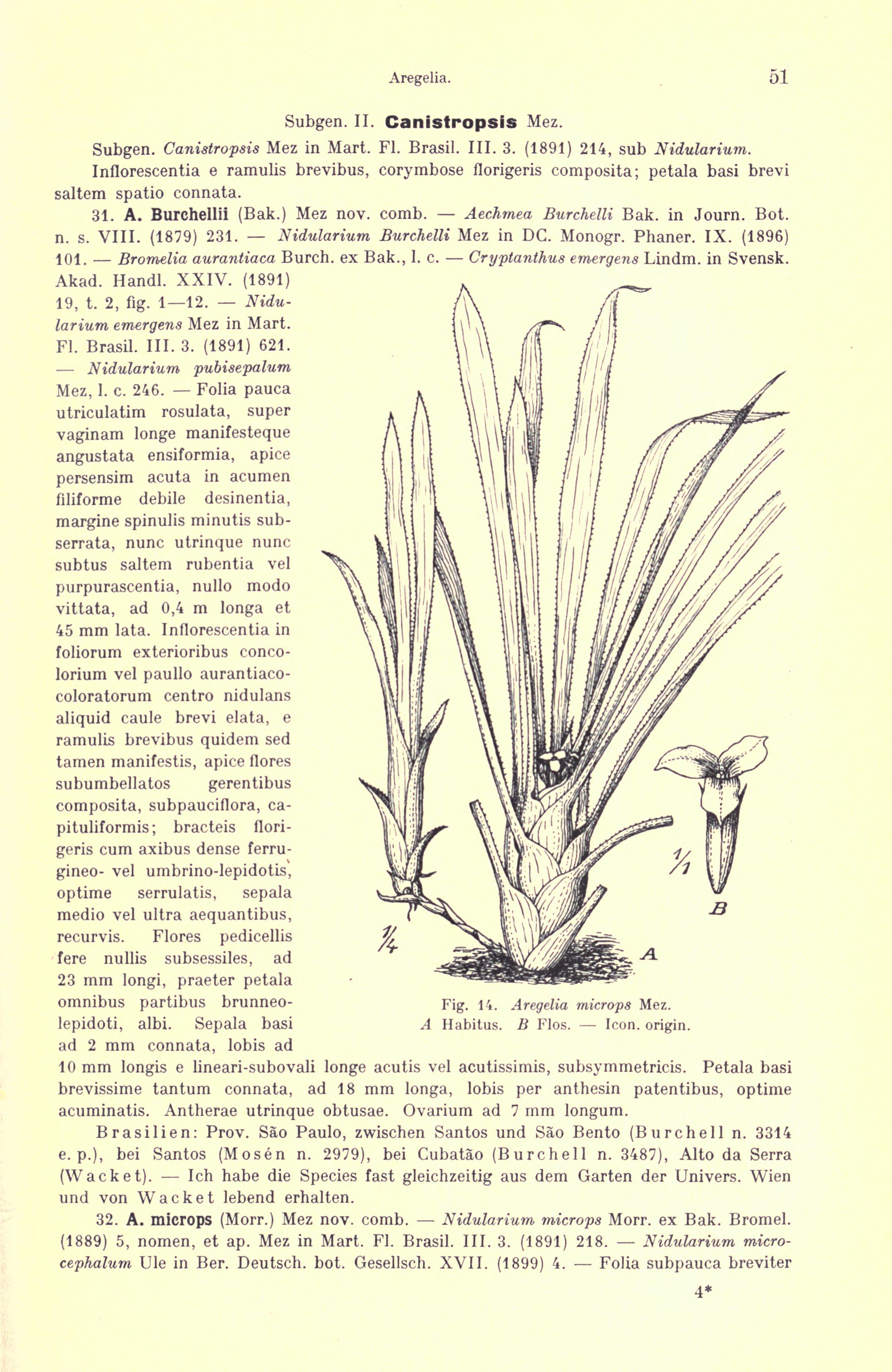 no full size  illustration available (3a)