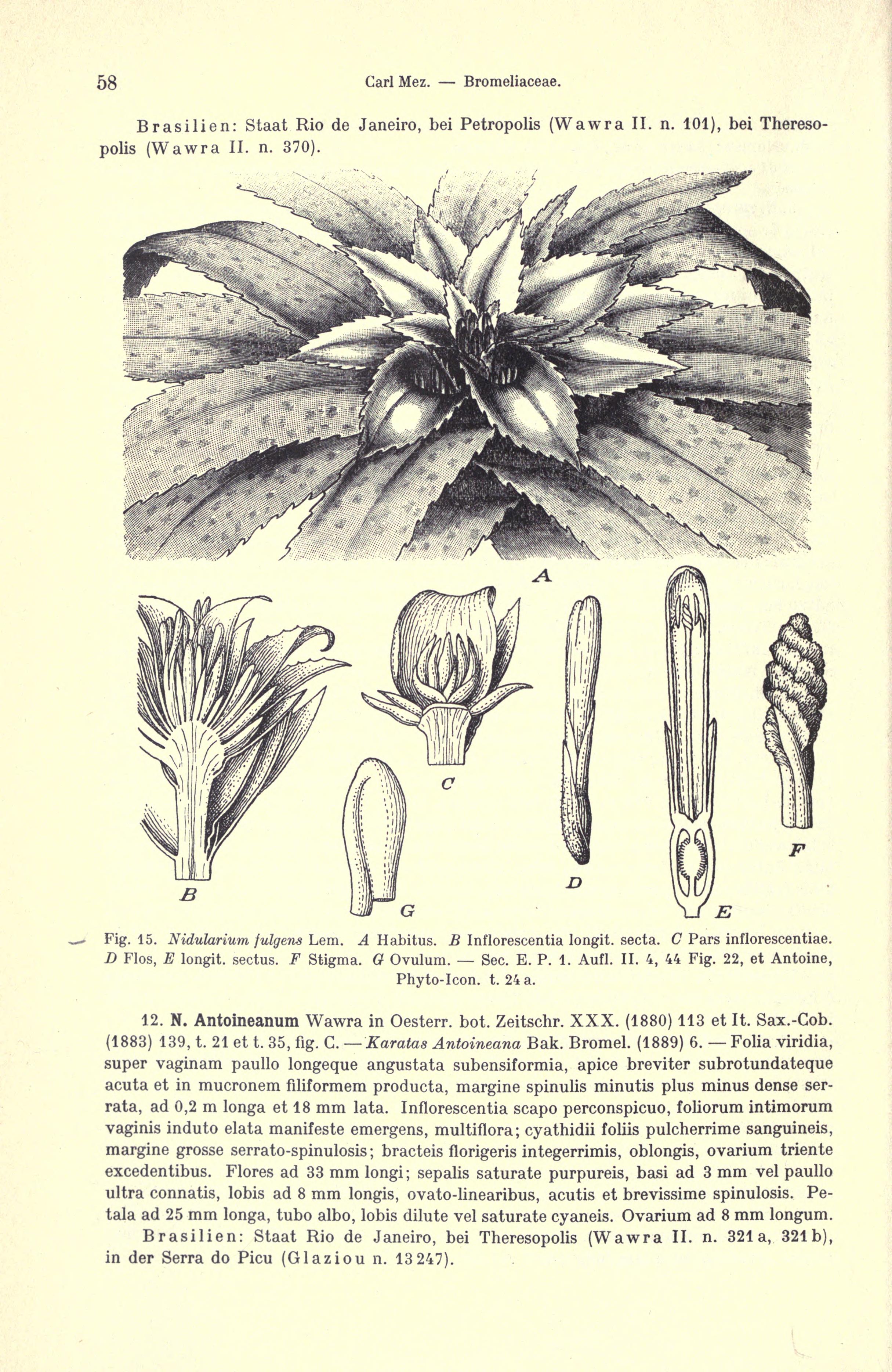 no full size  illustration available (3a)