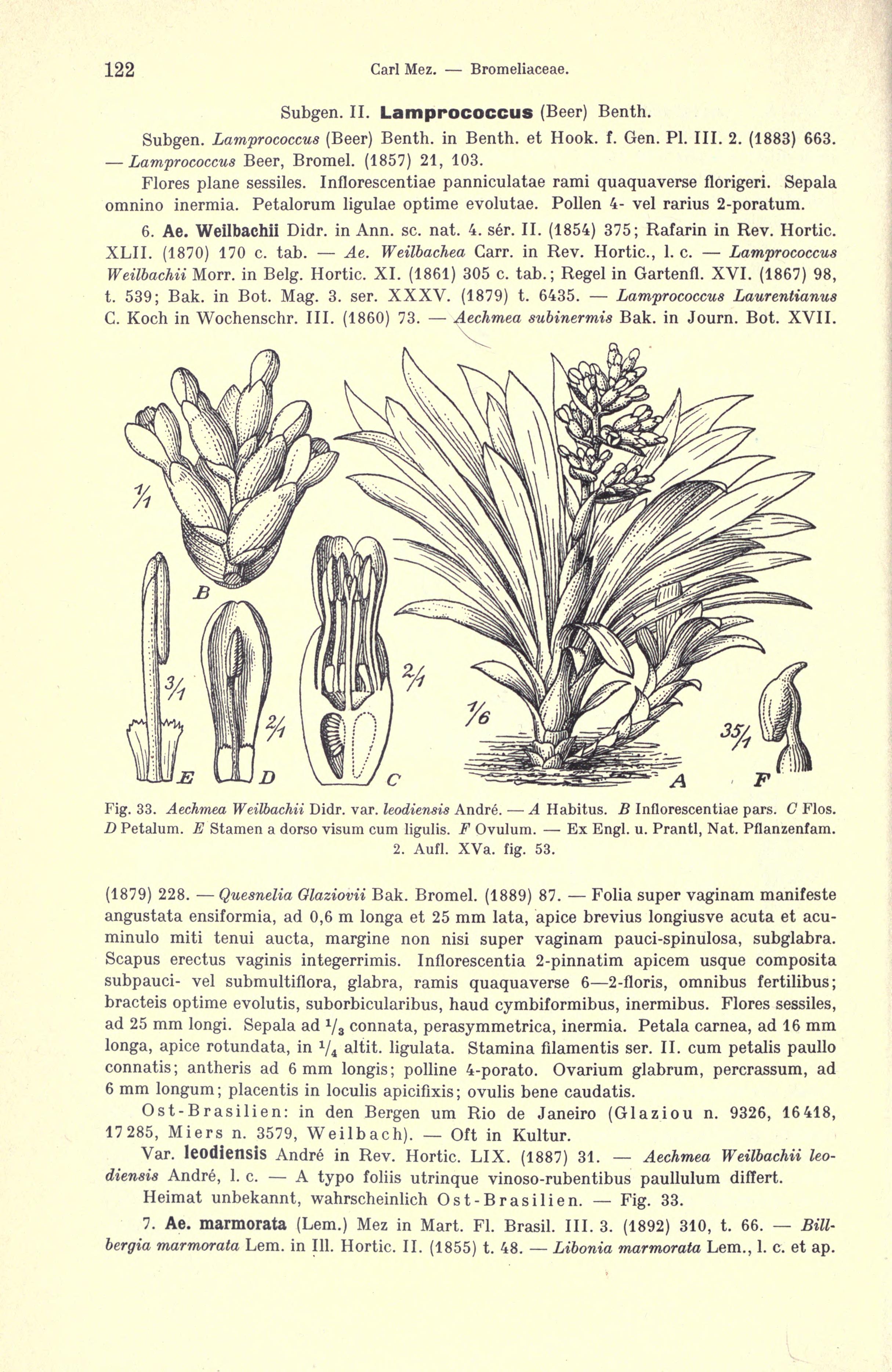 no full size  illustration available (3a)