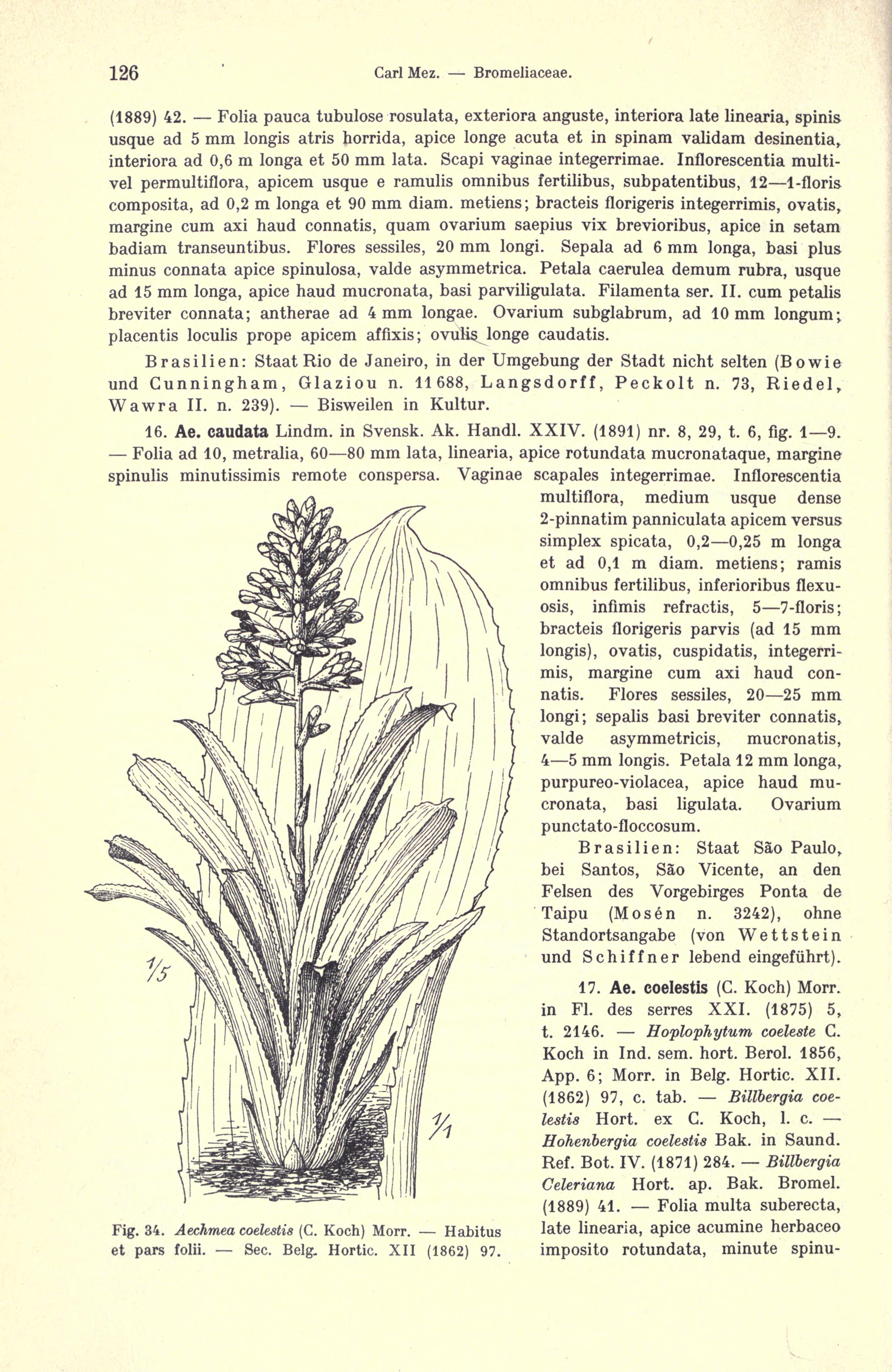 no full size  illustration available (3a)