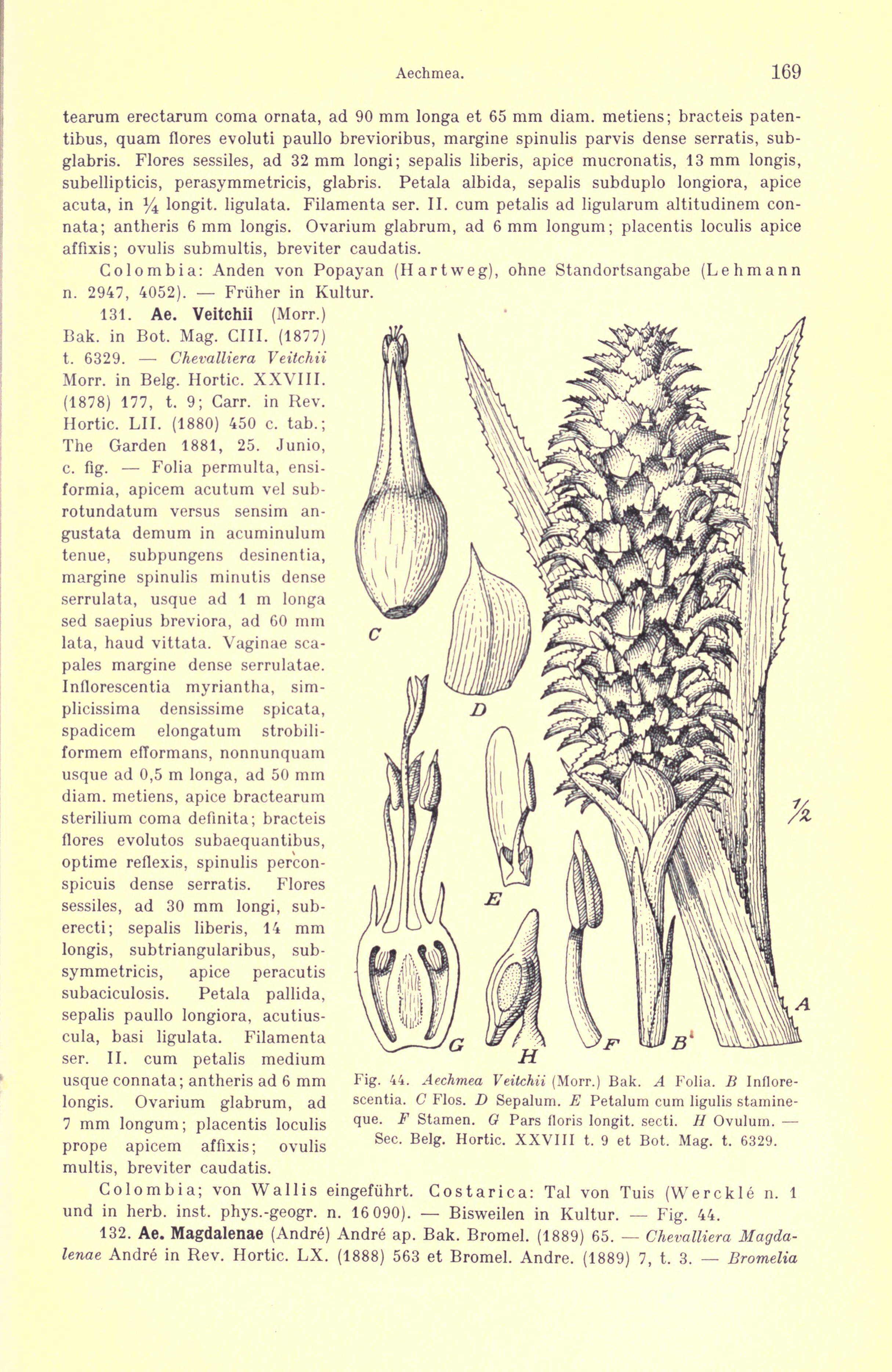 no full size  illustration available (3a)