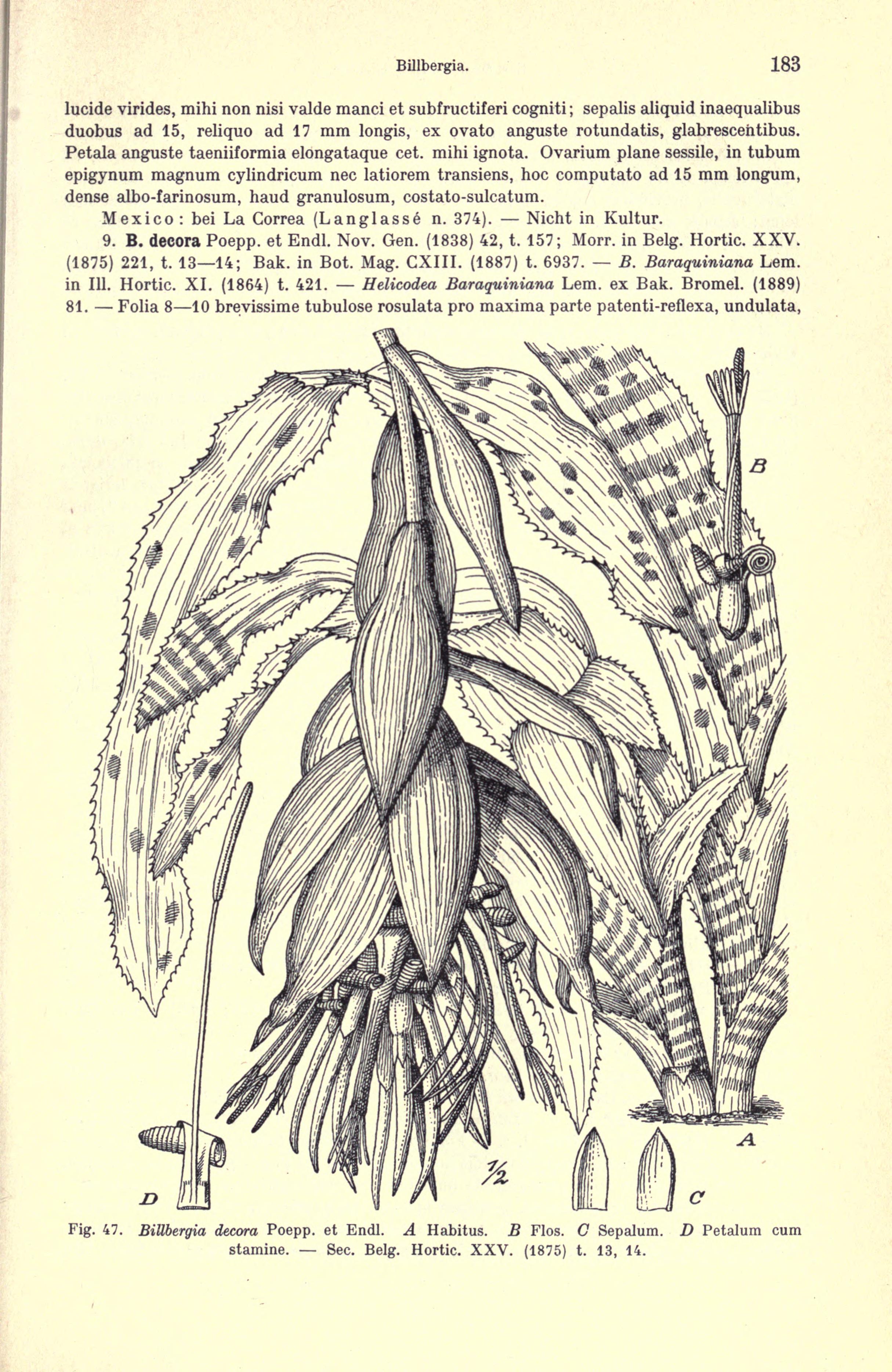 no full size  illustration available (3a)