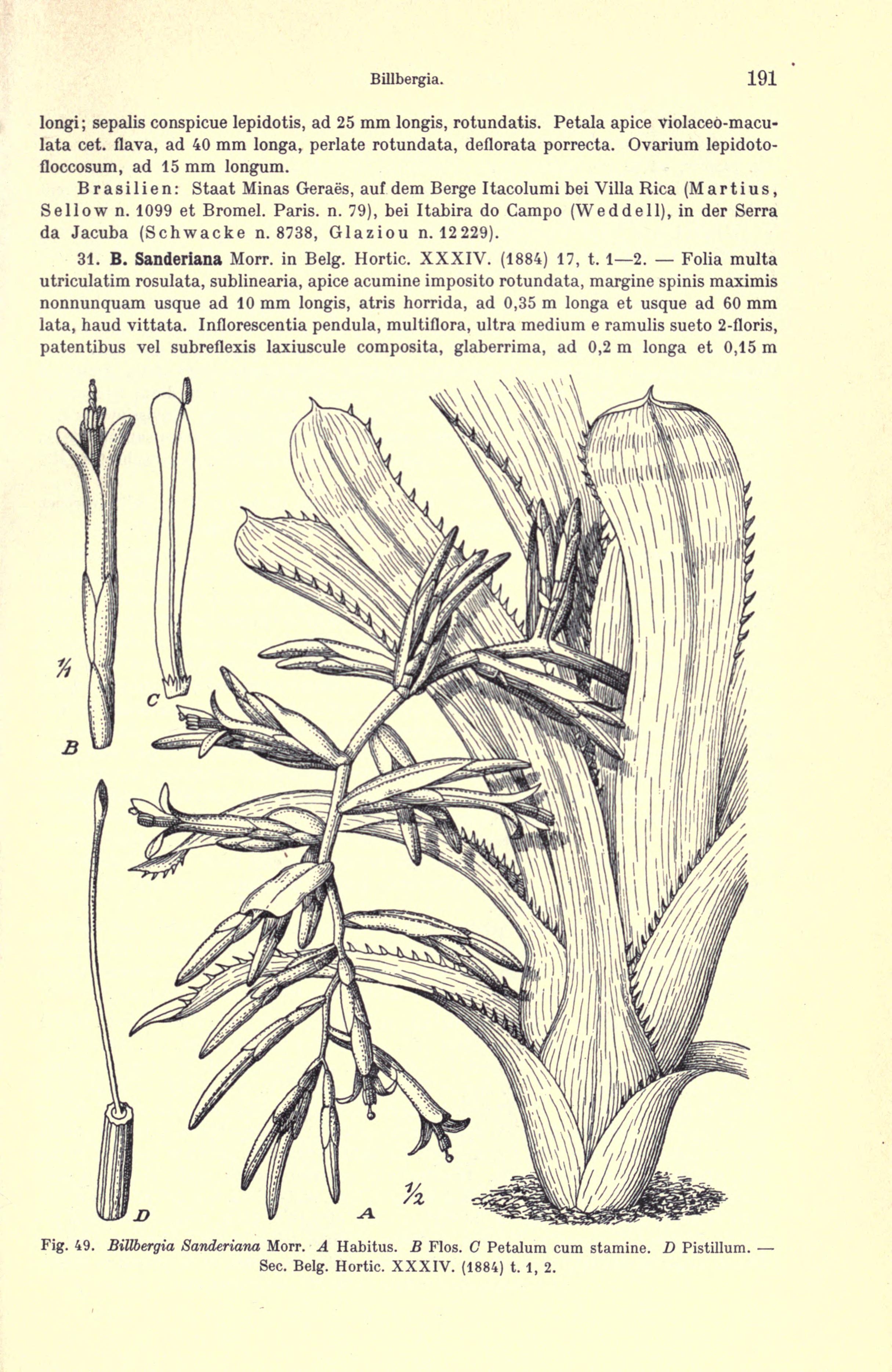 no full size  illustration available (3a)