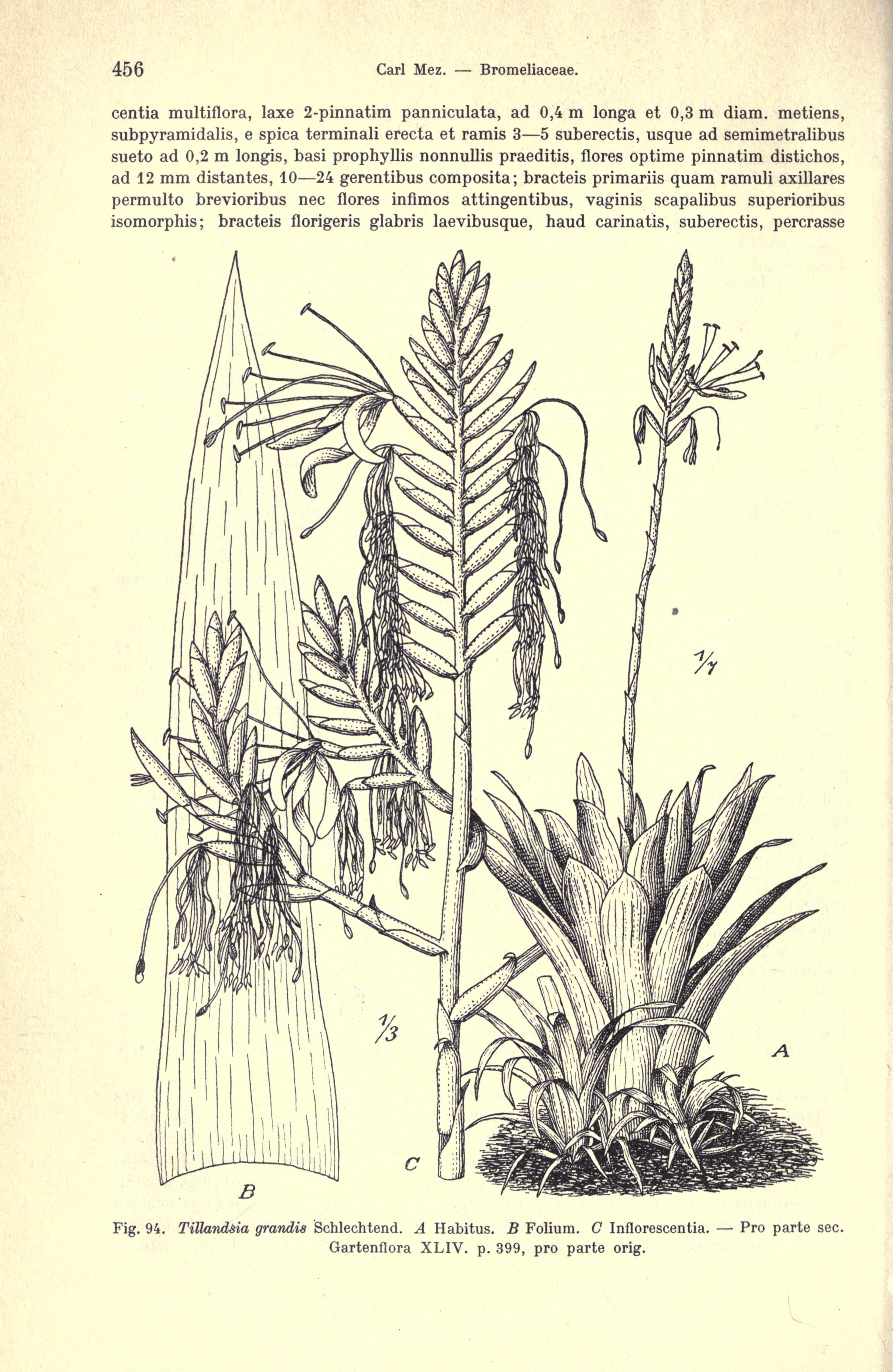 no full size  illustration available (3a)