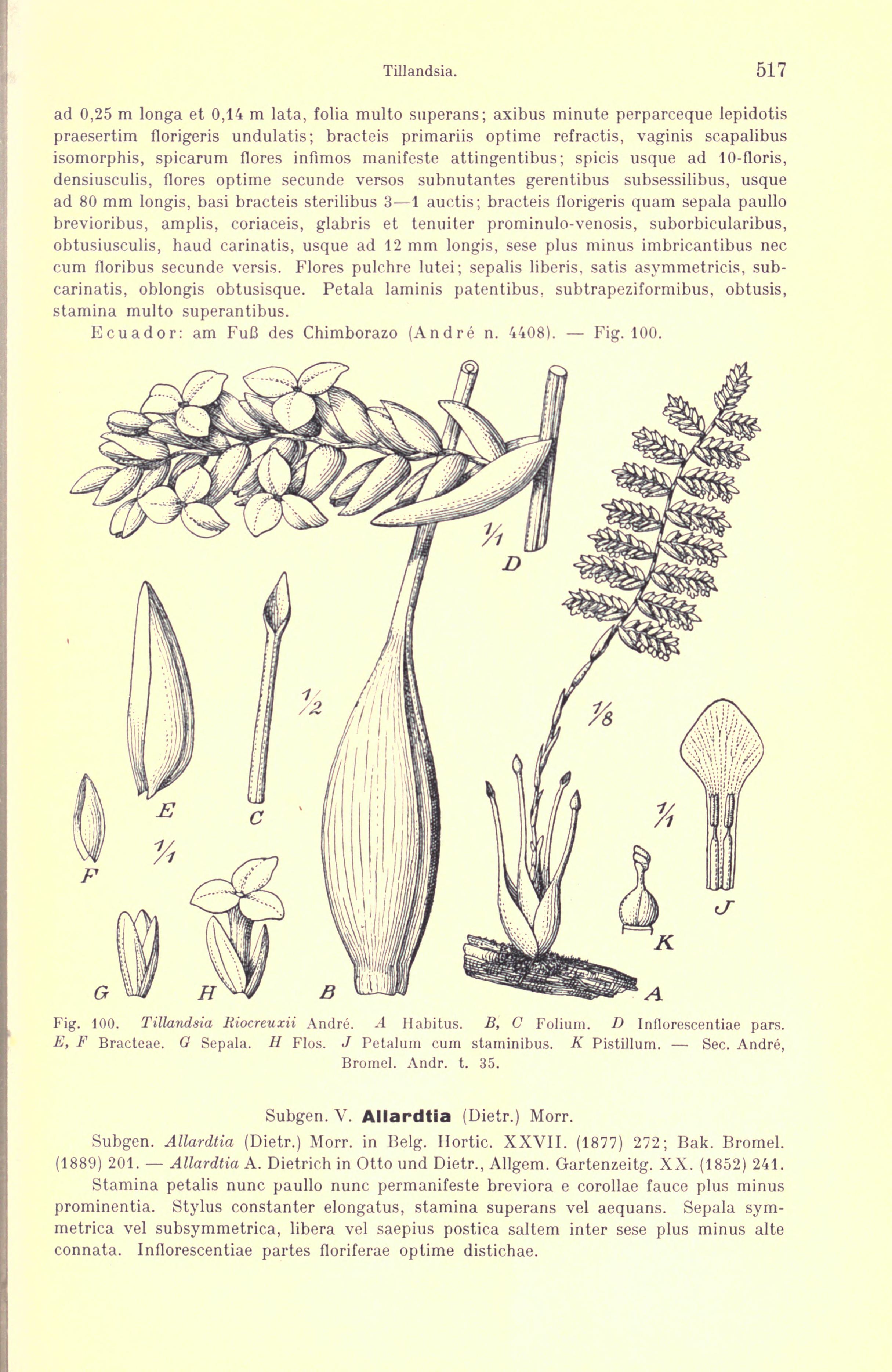 no full size  illustration available (3a)