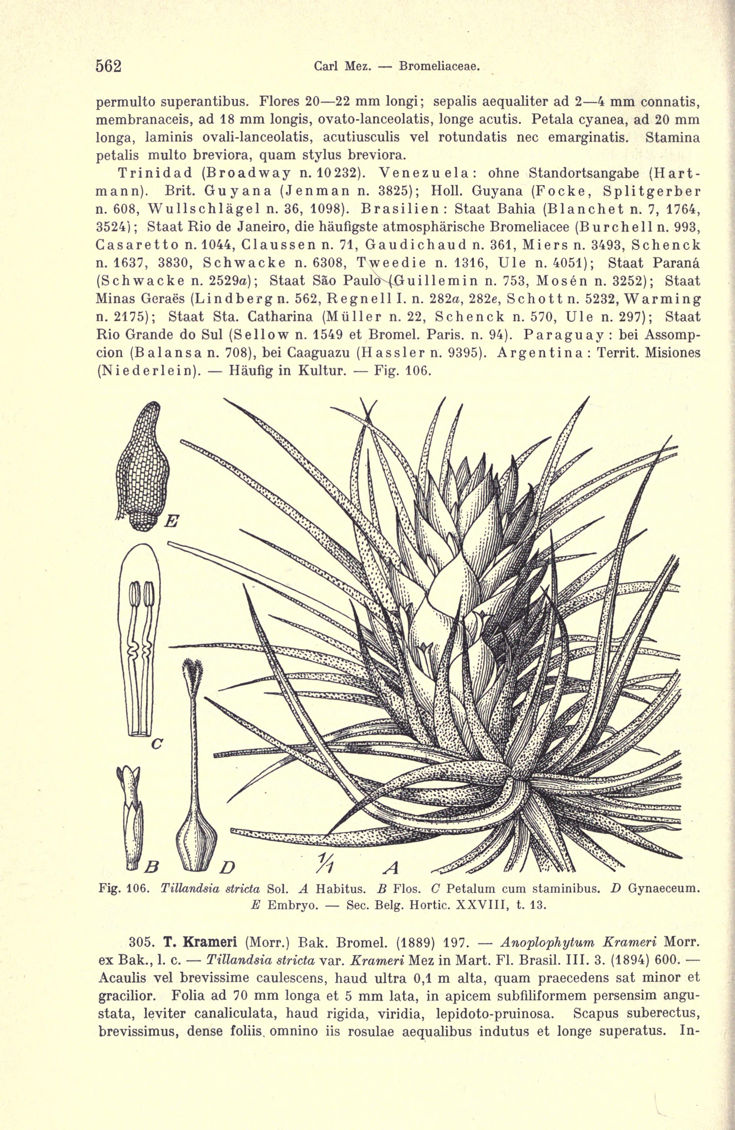 no full size  illustration available (3a)