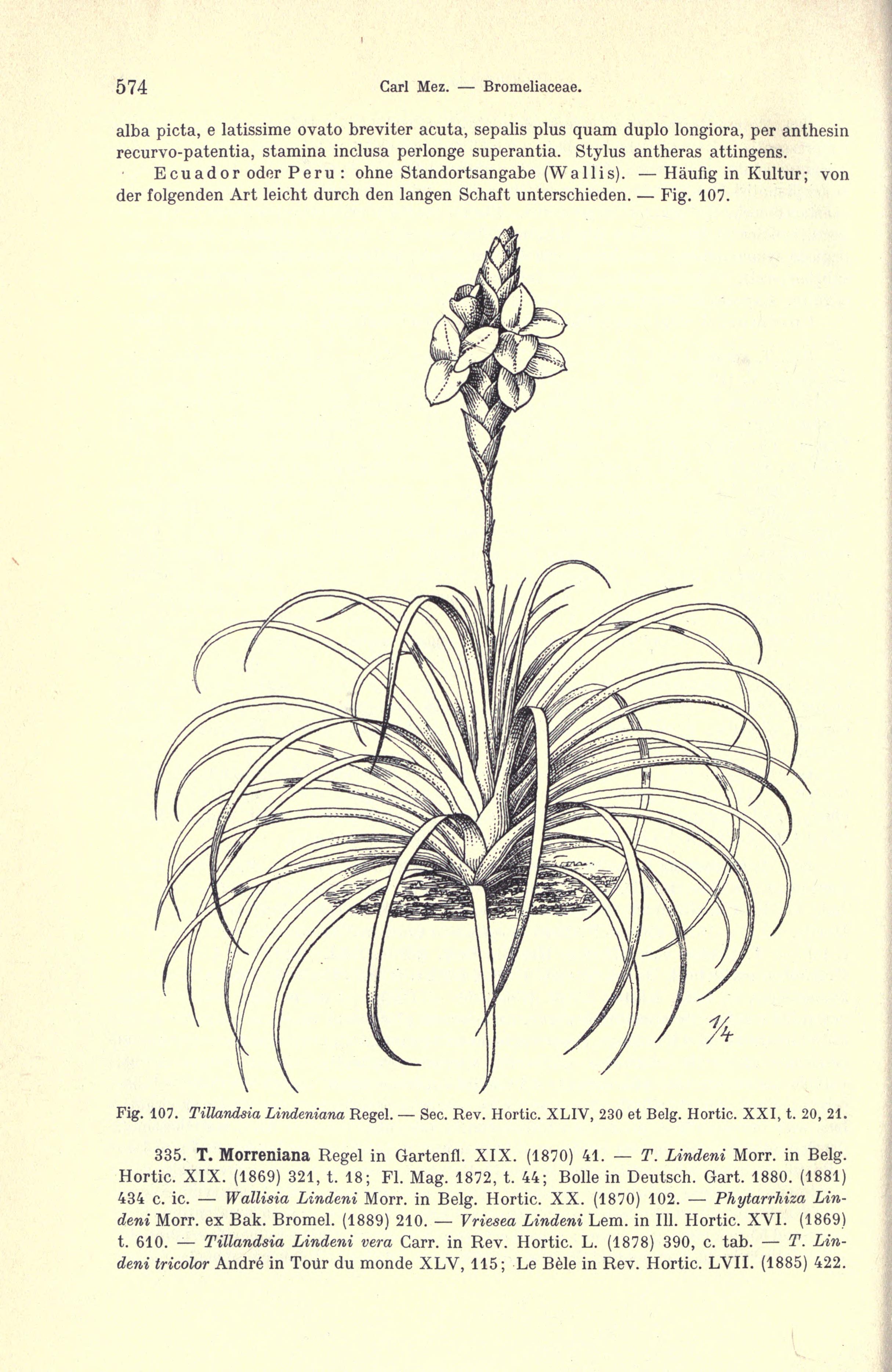 no full size  illustration available (3a)