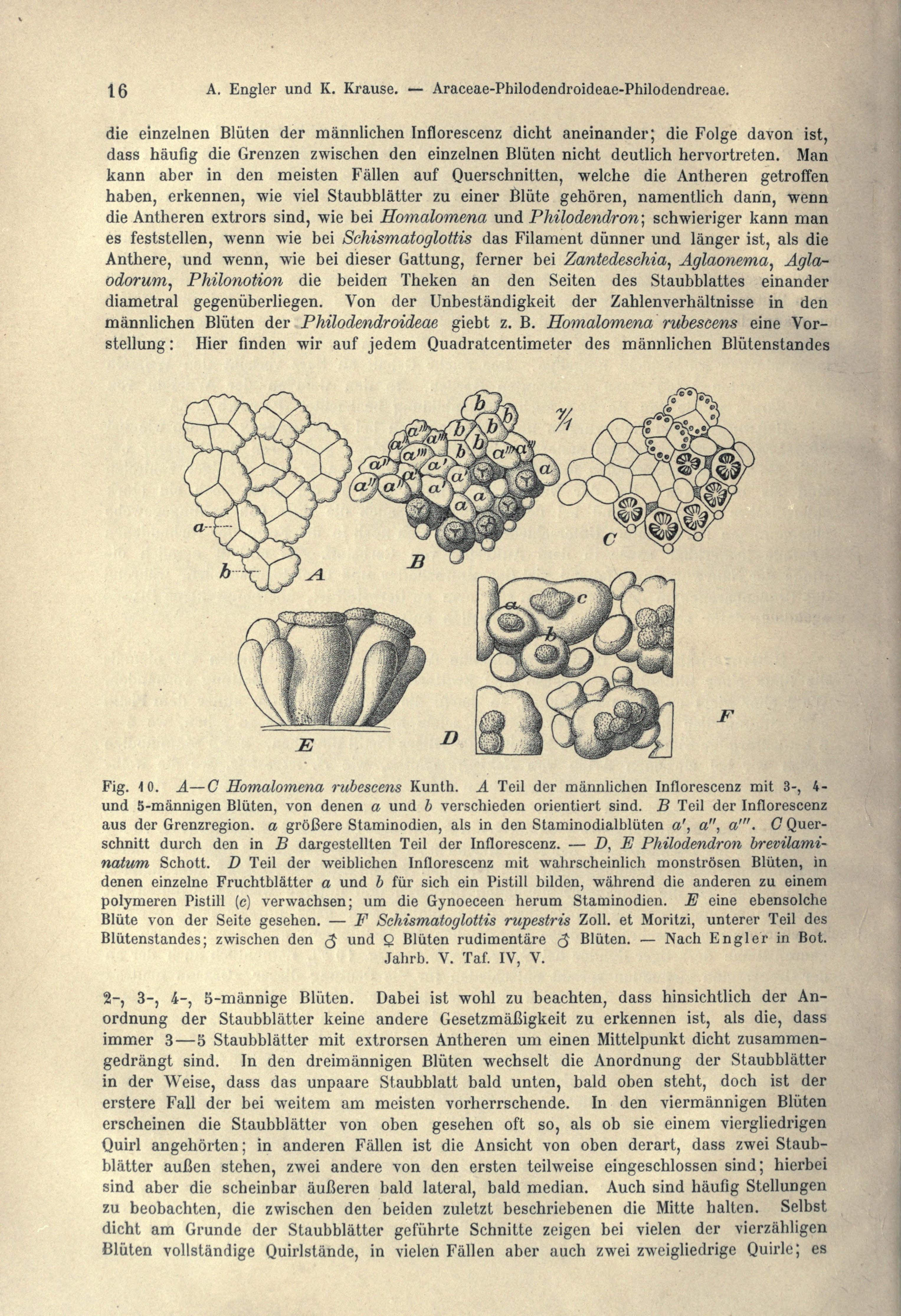 no full size  illustration available (3a)