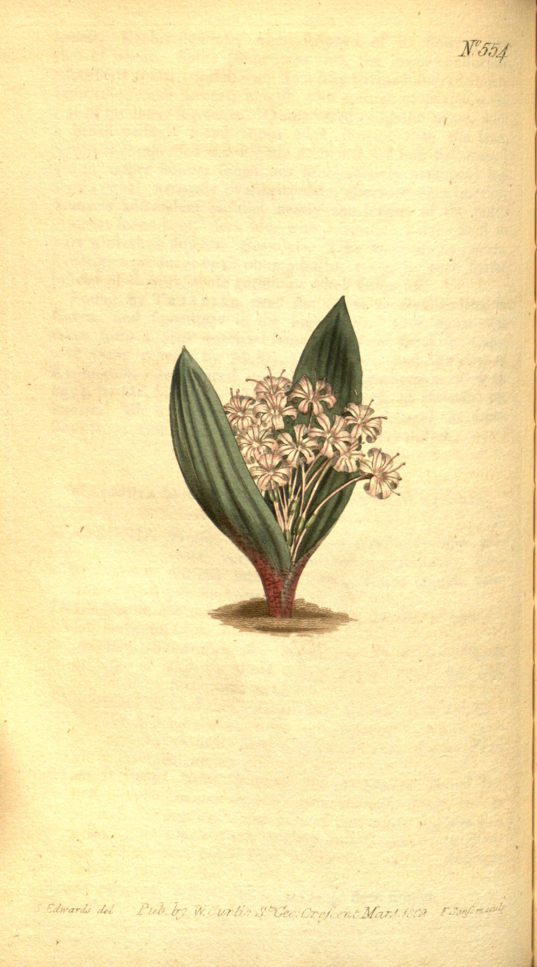 no full size  illustration available (3a)