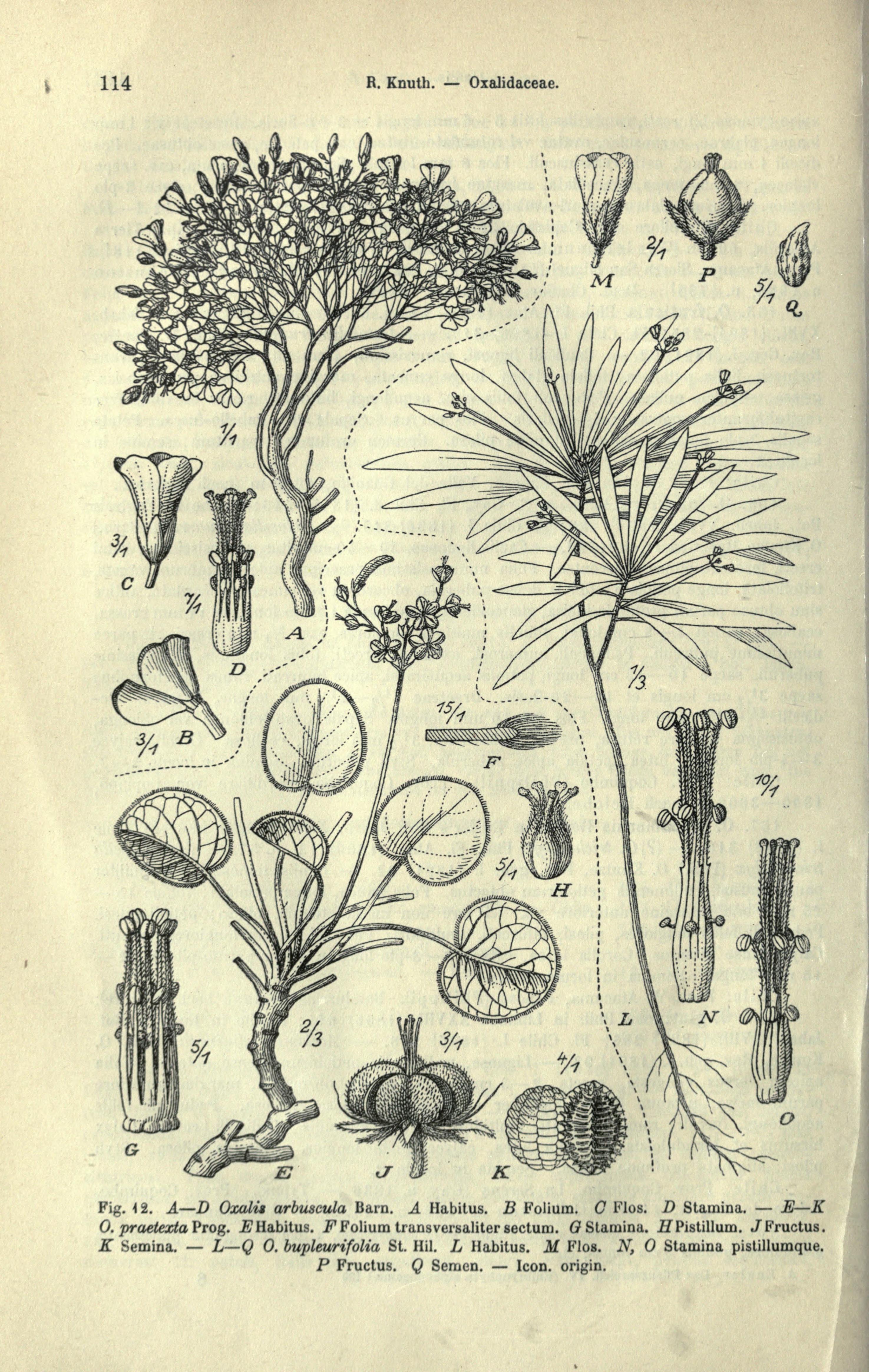 no full size  illustration available (3a)